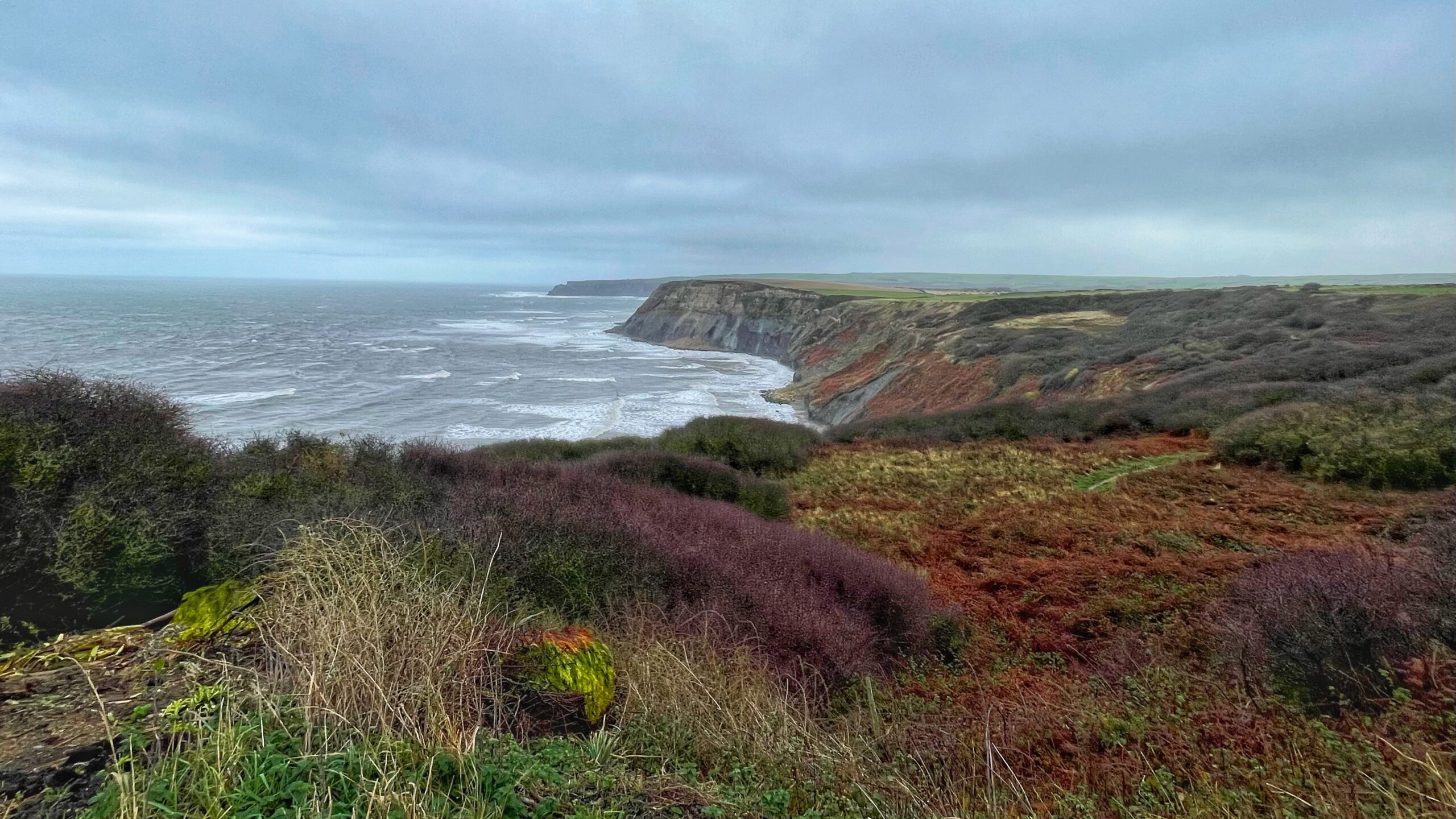 A wide, slightly elevated shot of the cliffs and coastline at Port Mulgrave, North Yorkshire, on an overcast day. The foreground consists of rough, winter-toned coastal scrub, featuring dry, brown and reddish-orange grasses and low, dark, densely packed bushes, mainly Blackthorn. A path track is visible winding through the undergrowth on the right. The view extends left to the dark, rugged sea, with choppy waves breaking towards the shore. The middle ground is dominated by the tall, sheer cliffs, showing distinct layers of rock, running along the coast and disappearing into the distance. The sky is a uniform, heavy grey.