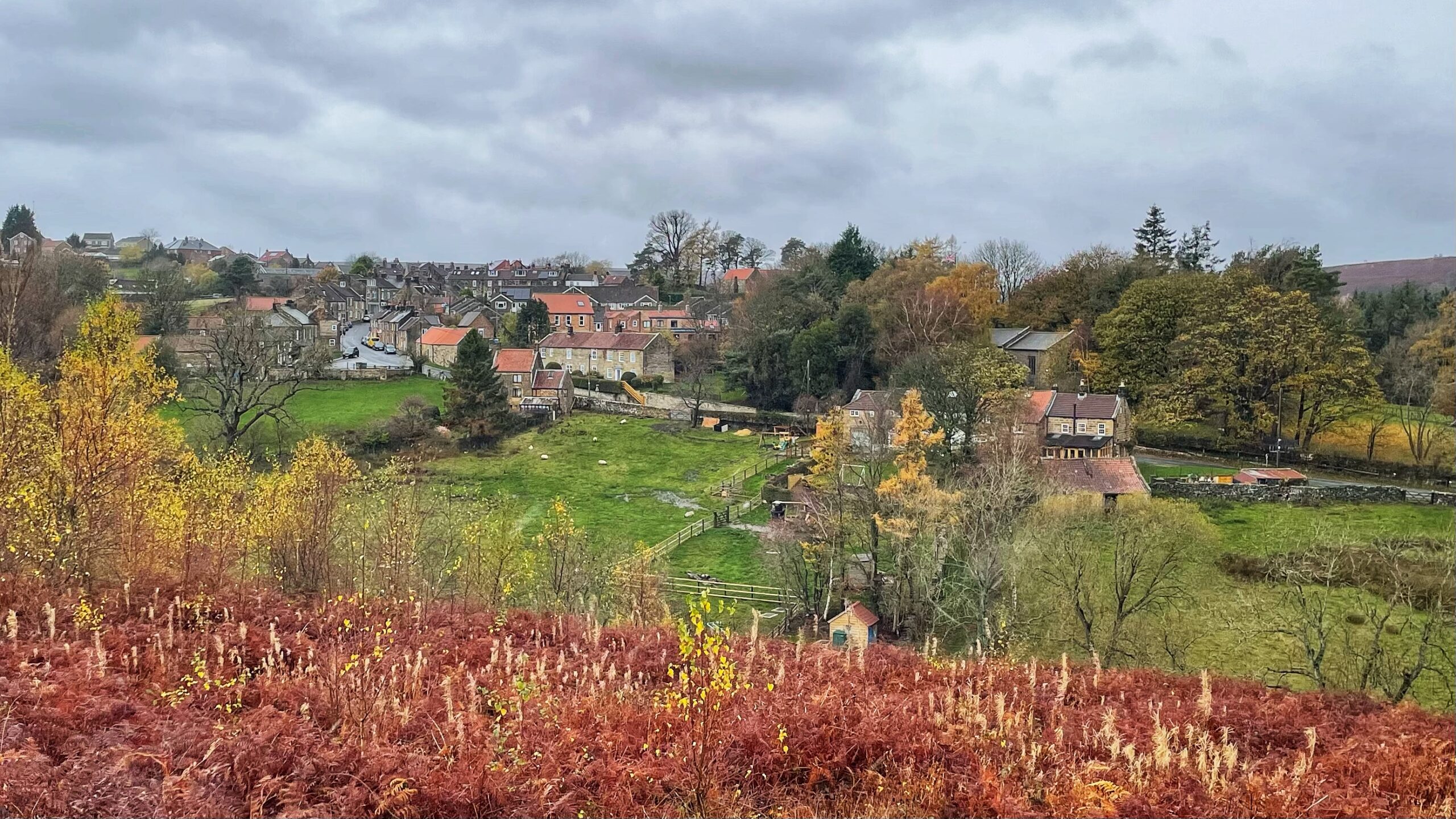 An elevated, wide-angle photo of the bottom end of the village of Castleton, on a cloudy autumn day. The foreground is dominated by a field of deep reddish-brown bracken and scrub. Beyond this, a grassy valley slopes down towards a collection of houses with red-tiled roofs, surrounded by trees displaying a mix of autumnal colours—yellows, greens, and browns. The main cluster of houses is visible, and the tower of the village church is partially hidden among the trees in the centre-right of the settlement. The village straddles the ridge under a grey, cloudy sky.