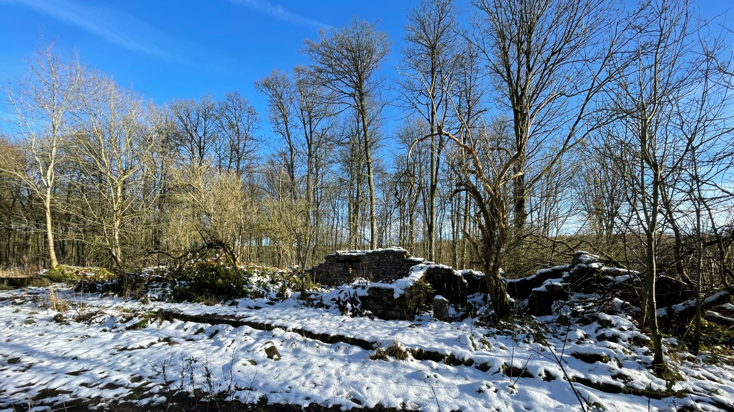 Ruins of low stone walls overgrown with moss and surrounded by light, patchy snow on the ground. Behind the ruins is a dense wood of tall, mostly bare deciduous trees under a bright blue sky. The scene suggests early winter.