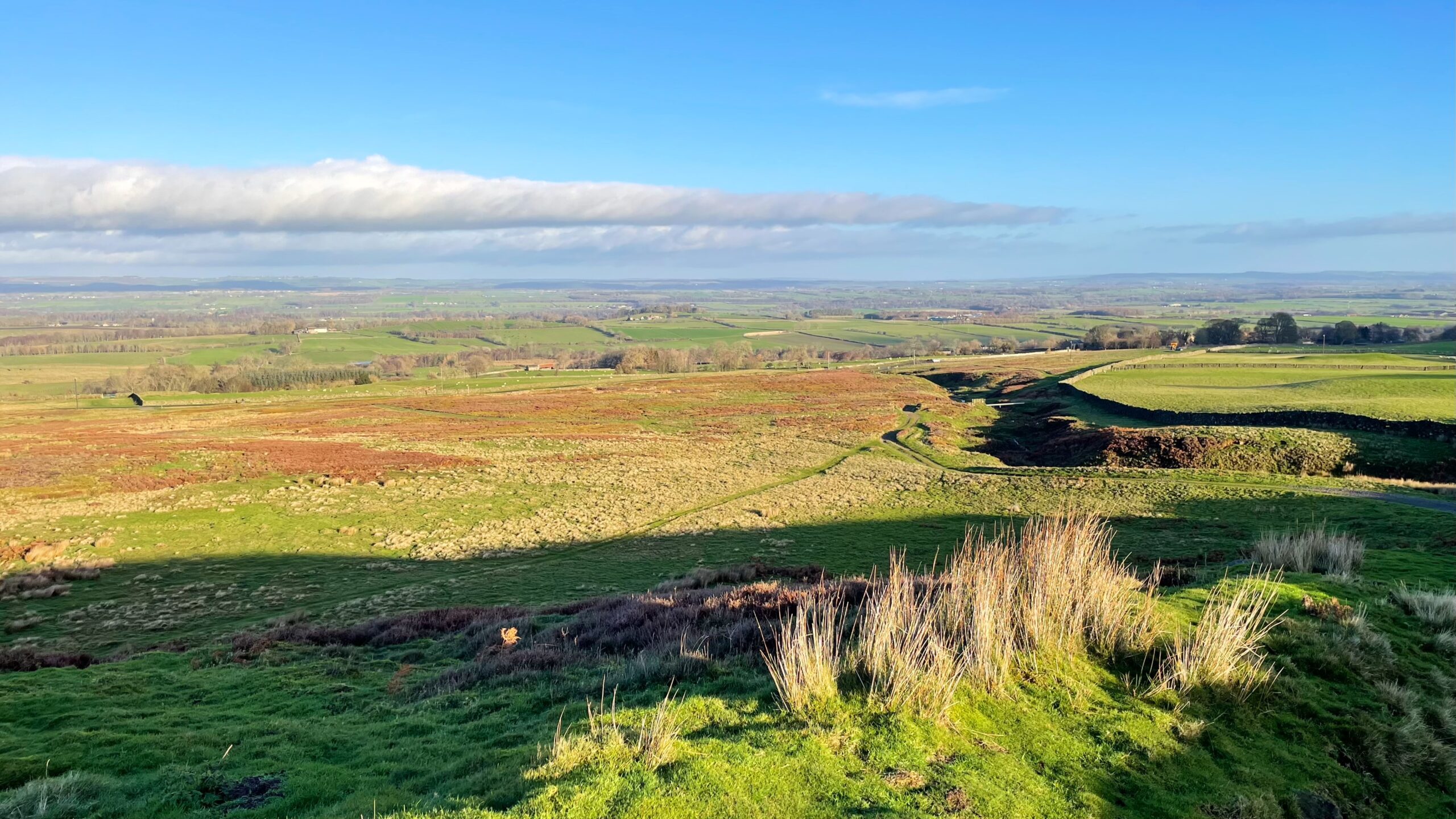 A panoramic shot from Barningham Moor looking north across the valley of the River Greta. The foreground is dominated by grassy slopes in bright sunlight, featuring patches of reddish-brown bracken and clumps of tall grasses. These slopes descend into the wider valley floor, which is a mix of green fields and low-lying moorland, stretching out towards the distant horizon. The landscape is generally gently rolling with scattered trees and hedges defining field boundaries. A long, thin bank of white, fluffy clouds stretches across the middle of the pale blue sky. The overall impression is one of a wide, open, and sunny rural landscape in the late autumn or early winter.
