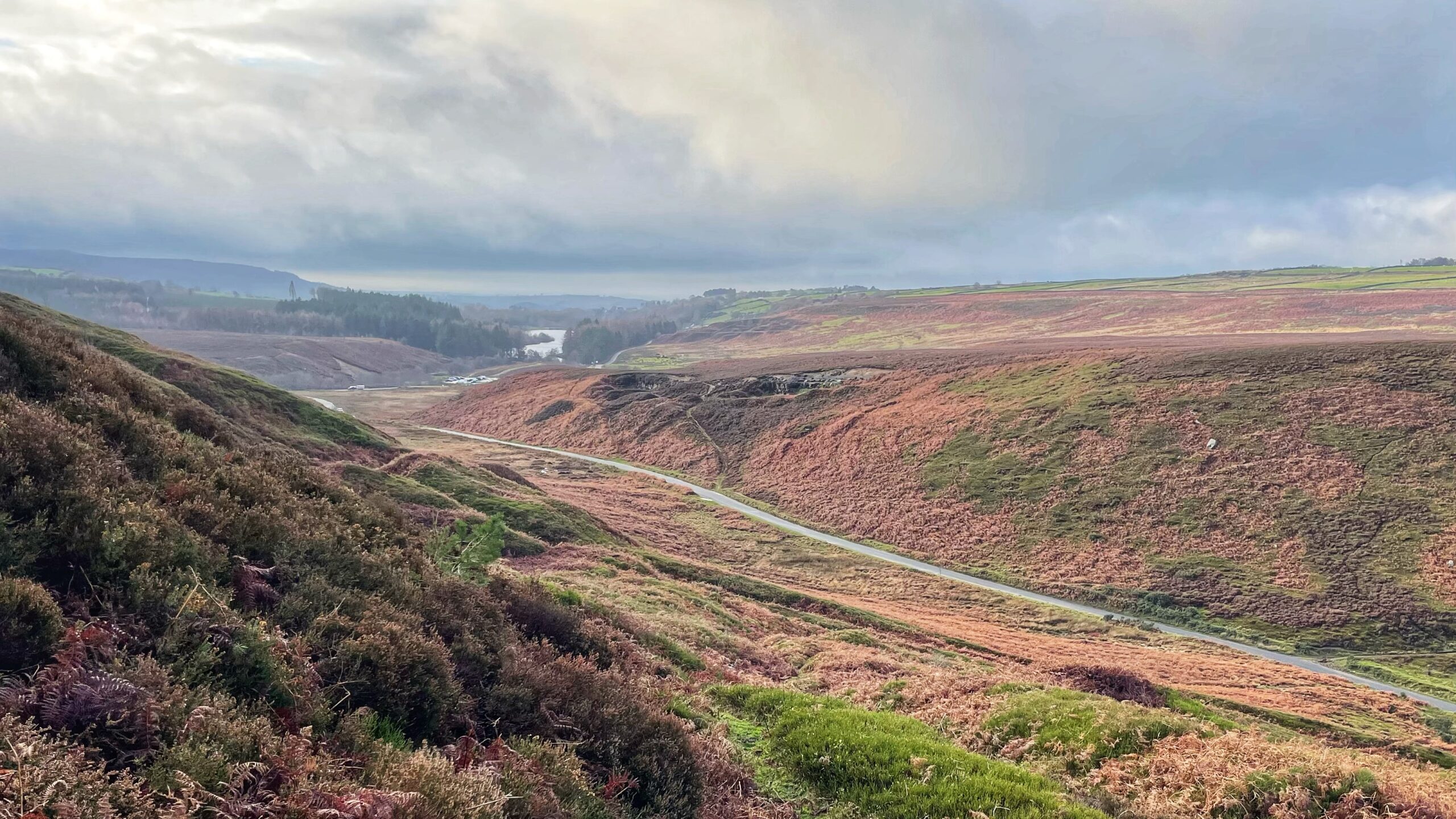 A view of Scarth Nick in the North York Moors, showing a winding road cutting through steep hillsides covered in red and brown winter heather and ferns. In the valley distance, Cod Beck Reservoir is visible under a cloudy sky.