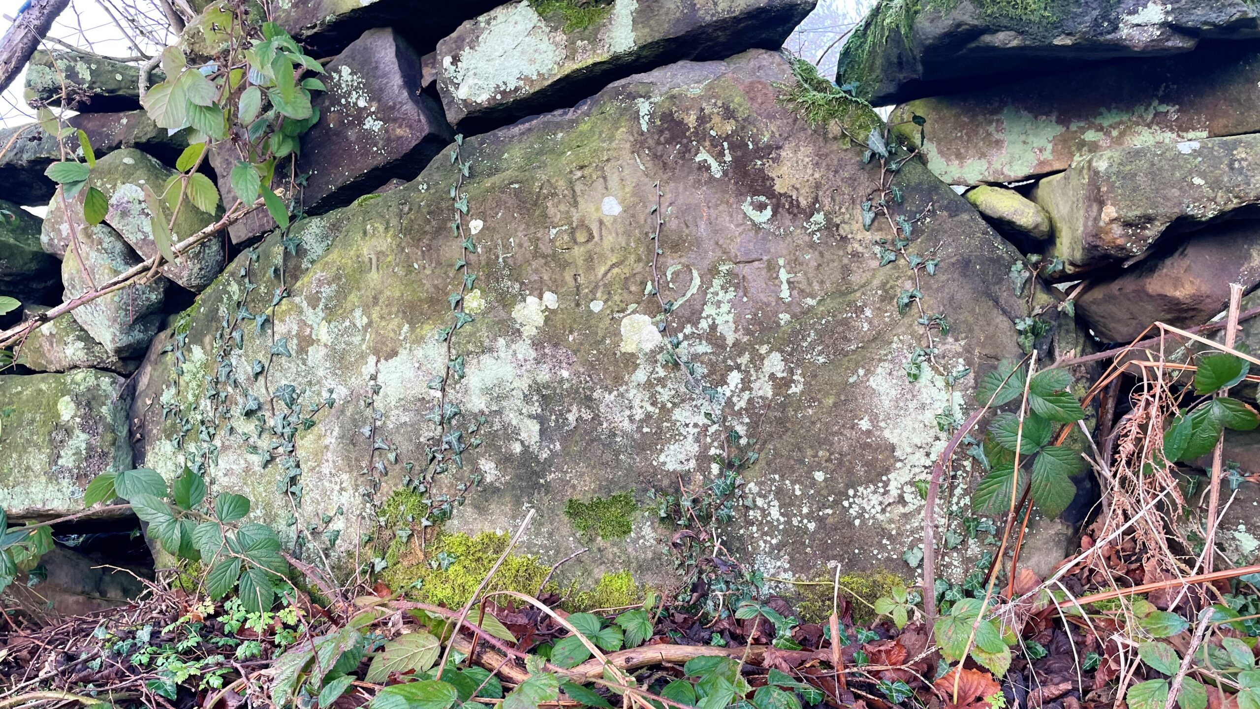 A large, moss and lichen-covered boulder forming part of a dry stone wall in a wooded area. The stone has an inscription carved into its centre, which is difficult to read due to weathering and plant growth, but the text is: "FIRST DRAFT WAY MADE UP ALL THE COMMAN LONING IN 1699 T.H." Ivy and brambles grow over and around the stone.