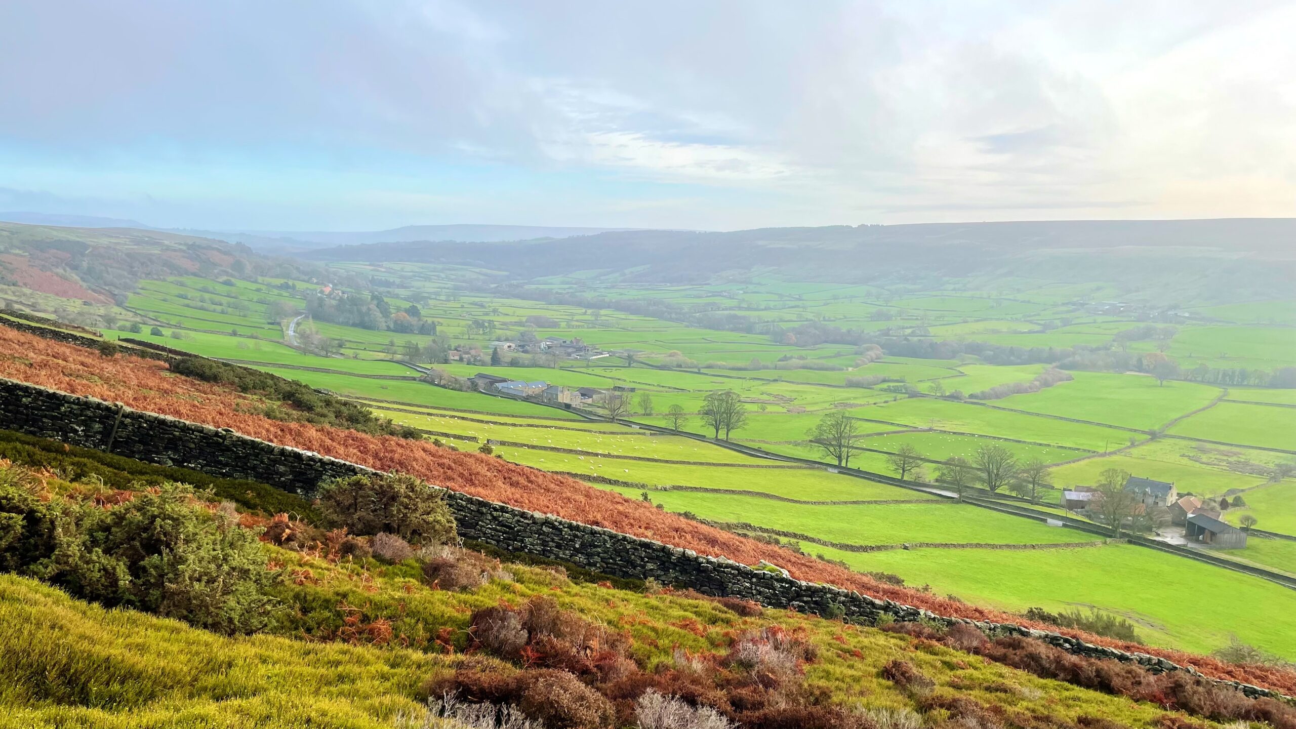A scenic, high-angle view looking down into the green, cultivated valley of Glaisdale in the North York Moors National Park. In the foreground, a dry stone wall runs diagonally across the frame, separating the rough, moorland hillside covered in brown bracken and purple-brown heather-like shrubs from the lush, bright green pastures in the valley bottom. The valley floor is divided into a patchwork of fields by more dry stone walls and features a few clusters of buildings, trees, and a road winding through the fields. The distant hillsides are soft green and fade into a misty, overcast sky. The overall lighting is subdued, typical of a cloudy day.