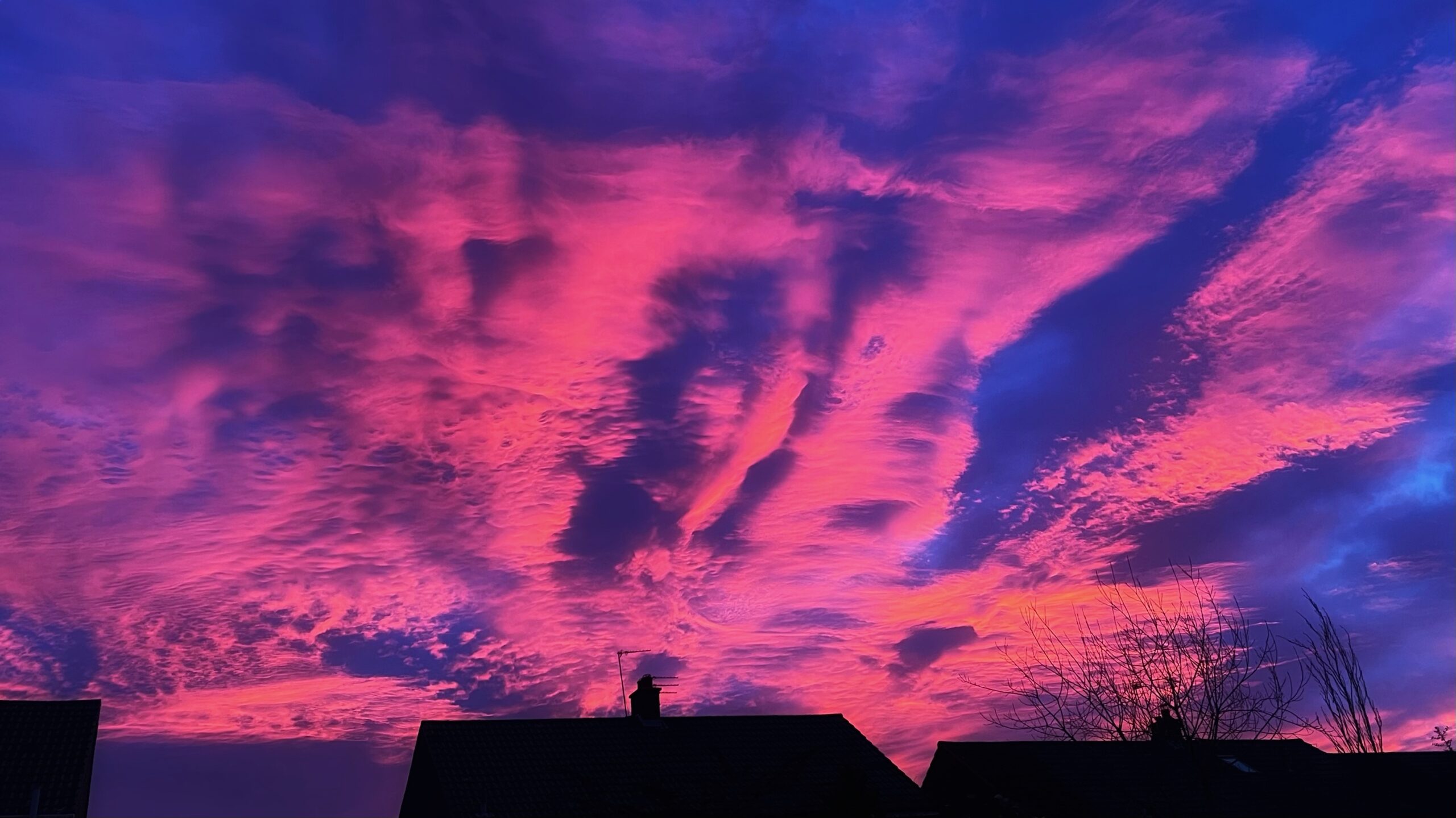 A dramatic sunrise sky fills the frame with vibrant, streaky clouds in shades of electric pink, magenta, and deep violet-blue. The clouds are heavily textured, showing ripples and wisps. Silhouetted against the bright sky are the dark rooftops and chimney tops of houses, along with the bare branches of a nearby tree in the lower part of the image. The intensity of the colours suggests the photo was taken during the peak civil twilight phase just before the sun appeared above the horizon.