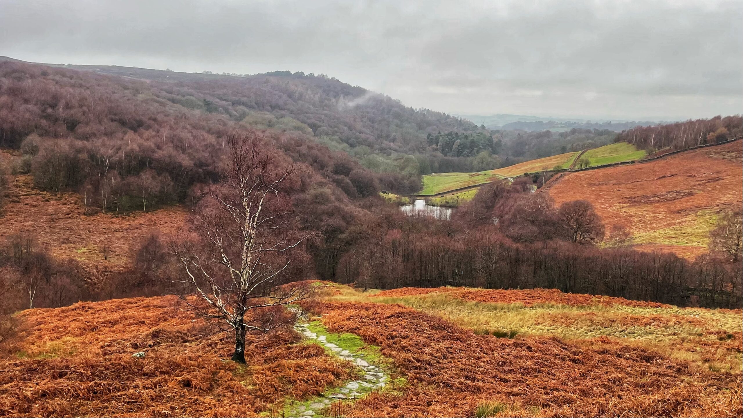 Solstice Greetings from Oakdale