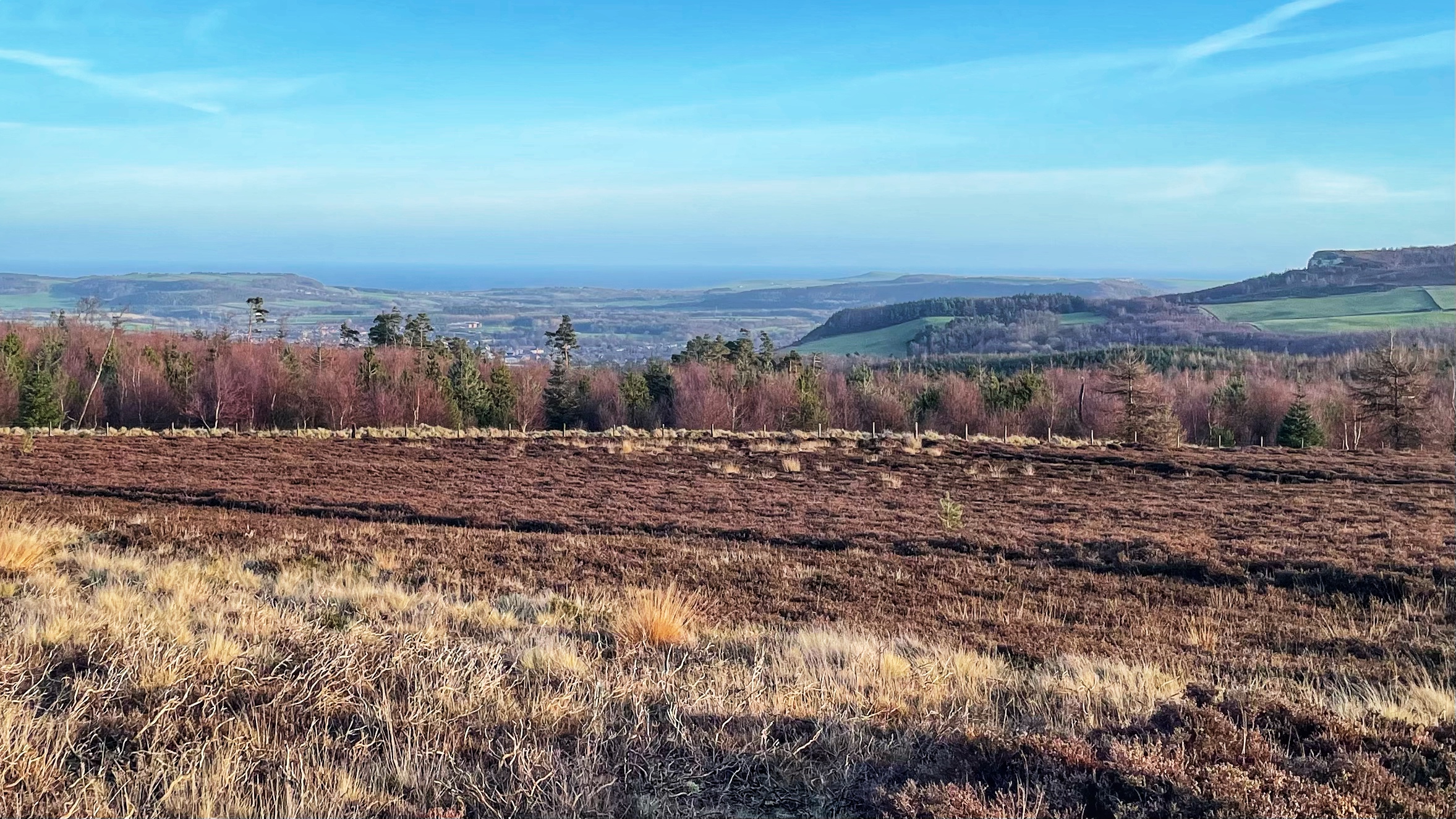 A panoramic view taken from the sloping brown and ochre moorland of Newton Moor. In the mid-distance, a band of trees, mostly bare deciduous and evergreen conifers, partially frames the market town of Guisborough nestled in the valley below. Beyond the town, the landscape rises again to Errington Wood, leading to a hazy view of the North Sea on the horizon under a bright blue sky. The prominent features are the foreground moorland, the distant sea, and the town and hills in between.