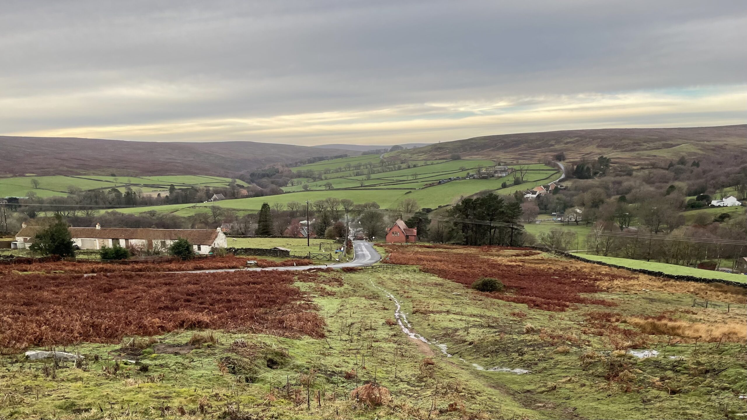 A wide-angle landscape photograph of Commondale, a village nestled in a valley within the North York Moors National Park, on an overcast day. In the foreground, the ground is a mix of rough, reddish-brown moorland grasses and patches of green, leading down a slight, muddy slope. Mid-ground shows the small village. A narrow, grey country road winds down towards the center of the frame and continues into the valley. Buildings, including a long, white terrace of cottages on the left and the prominent red-brick church in the centre, are scattered along the road and hillsides. Dry stone walls divide the green fields surrounding the village. The background consists of rolling moorland hills that dominate the horizon, stretching across the frame. The hills are covered in a mix of bright green pasture in the lower slopes and darker, more rugged heather and grass higher up. The sky is a uniform, heavy grey with patches of lighter cloud.