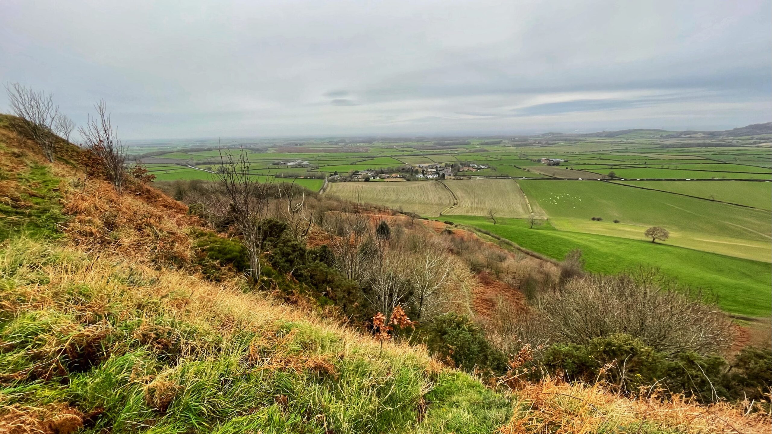 A wide-angle, high-angle landscape view looking down from a grassy, autumn-coloured hillside across the Cleveland Plain. In the mid-ground, the small village of Newton-under-Roseberry is nestled among a patchwork of vibrant green and brown agricultural fields divided by hedgerows. The foreground features a steep slope covered in dry, golden-brown bracken, green grass, and sparse, leafless trees. The horizon is flat and distant under a vast, overcast grey sky, conveying a cool, misty atmosphere.