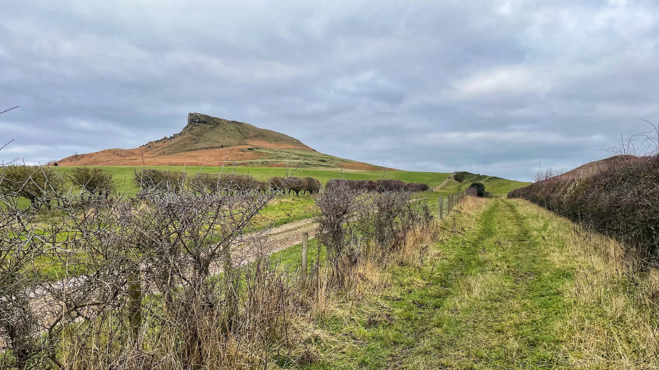 A scenic view of the hill Roseberry Topping in North Yorkshire, under a cloudy sky. The iconic conical hill with its distinctive half-collapsed cliff face sits in the background, surrounded by rolling green and brown slopes. In the foreground, a grassy path leads upward past the hill, following the course of an old ironstone mine tramway. To the left, a low wire fence and sparse, leafless bushes separate the path from a parallel track, which is designated as a public bridleway. A dense, manicured hedge runs along the right side of the path, guiding the eye toward the base of the hill.