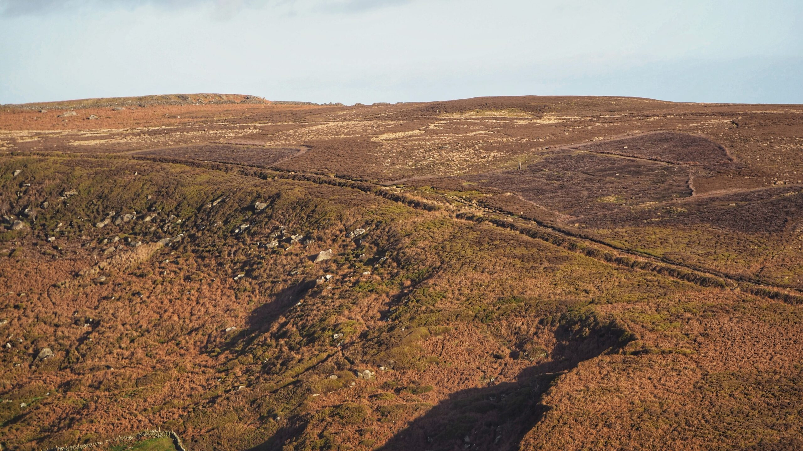 An expansive landscape view of a prehistoric linear earthwork stretching across the edge of Urra Moor in Bilsdale. The earthwork appears as a long, raised bank or ridge that cuts horizontally across the middle of the frame, following the natural contour of the sloping terrain. The ground is covered in a dense carpet of low-lying moorland vegetation, consisting of brown heather and orange-tinged bracken, suggesting winter. The rolling moorland rise toward a flat horizon under a pale, overcast sky. Scattered rocks and rocky outcrops are visible on the steeper slopes in the foreground, and the patchwork patterns of the moorland reveal different stages of vegetation growth.