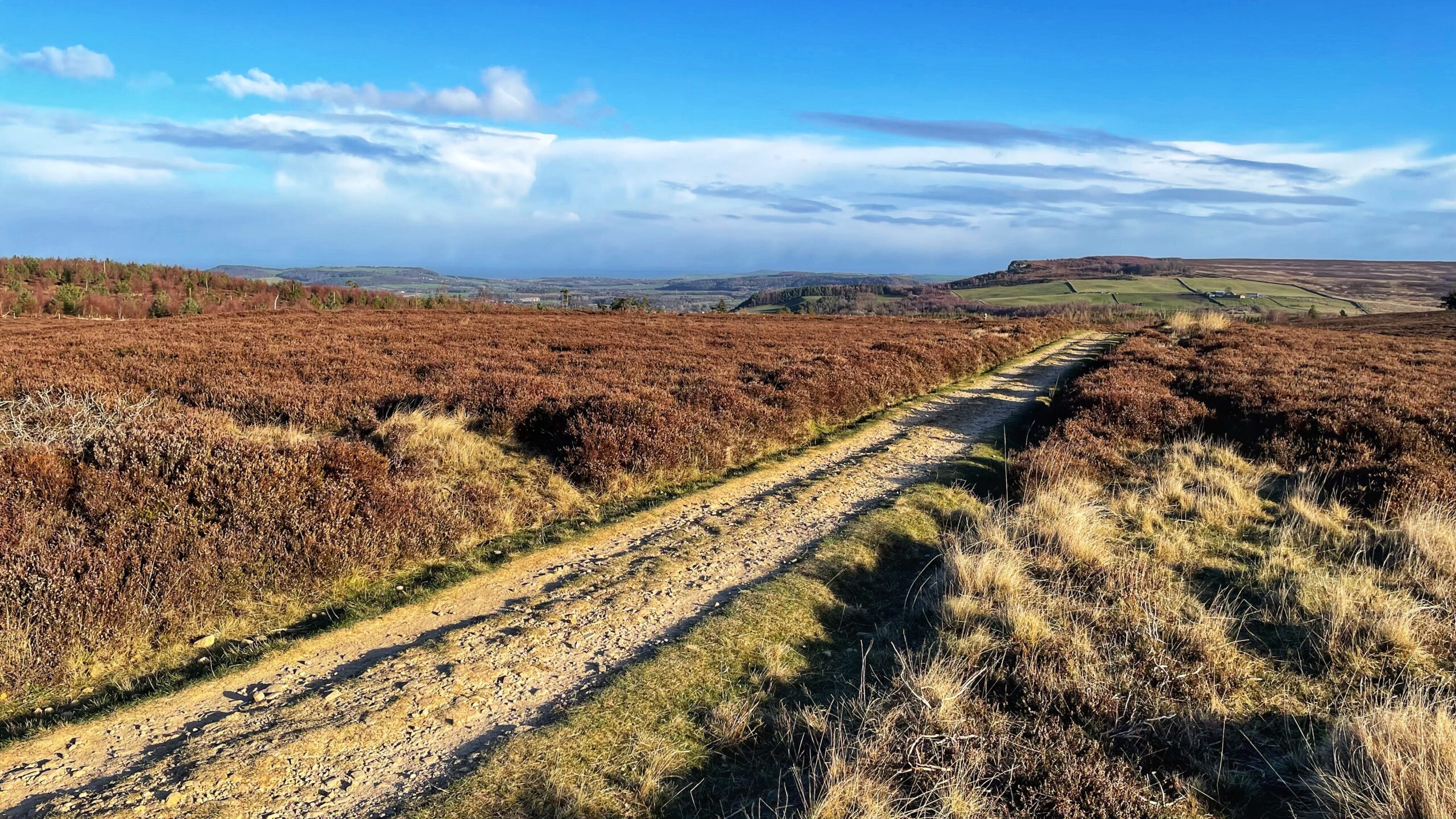 A wide-angle landscape view of a vast, rolling moorland. A rugged, light-coloured track crosses from the bottom left toward the right, disappearing into the distance. The foreground is filled with dense, reddish-brown heather and patches of golden grass. In the distance, the terrain falls away into a valley toward a prominent flat-topped ridge. Above the horizon, a bright blue sky is filled with long, streaky white clouds that transition into heavy, grey rain clouds in the far distance. The morning sunlight creates a sharp contrast between the vibrant sky and the textured, earthy tones of the moor.