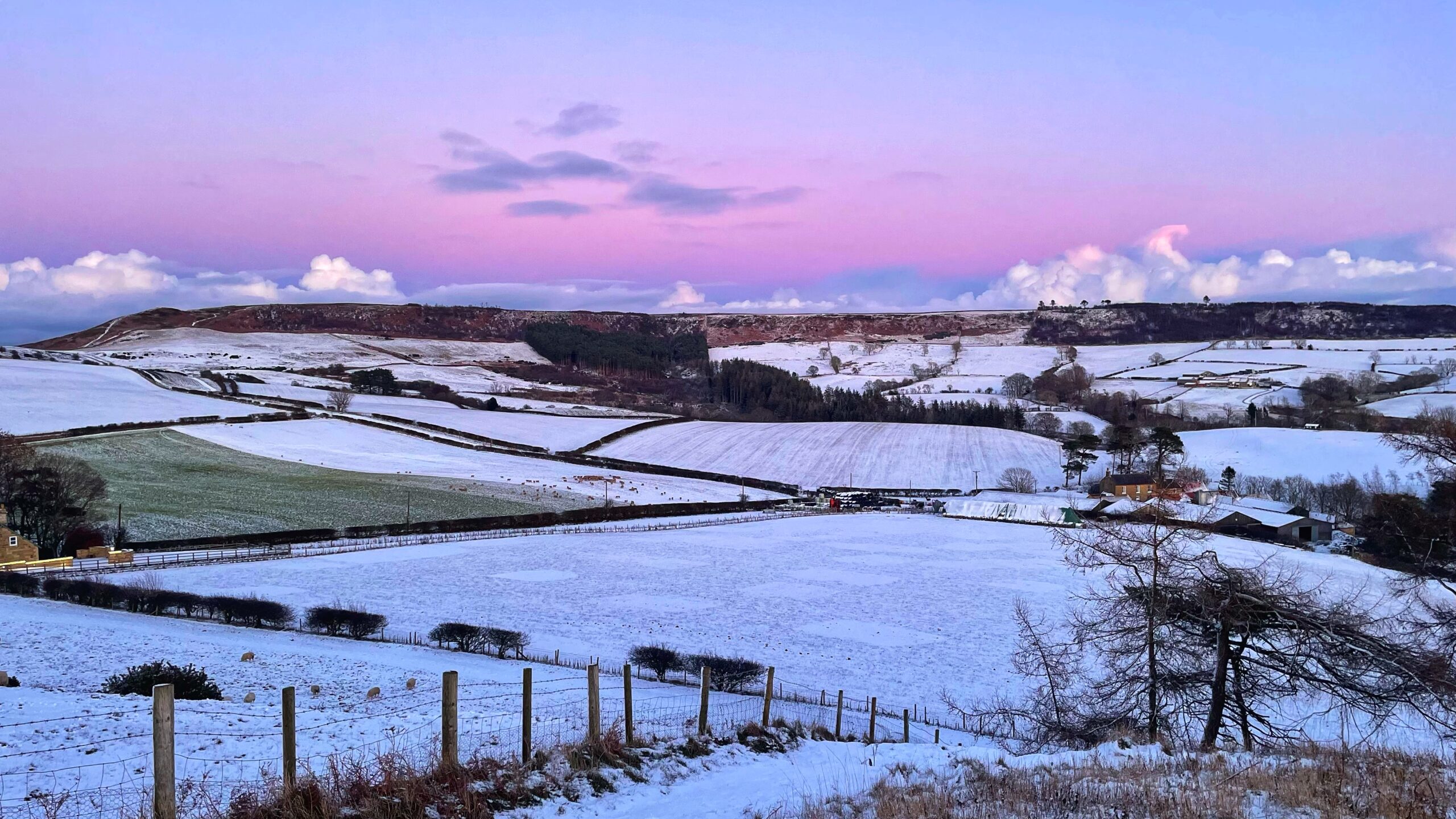 An image showing a vast, rolling countryside landscape covered in a fresh layer of snow under a twilight sky. In the upper third of the frame, the Belt of Venus is visible as a prominent, thick band of soft pink and lilac light stretching horizontally across the sky, situated just above the dark blue-grey arc of the Earth's shadow on the horizon. Sparse, white puffy clouds catch the last glow of the sun along the base of the pink band. Below the sky, the landscape consists of undulating white hills, dark patches of evergreen forests, and fields divided by stone walls and hedgerows. In the foreground, a wooden fence line and a snow-dusted path lead the eye toward a small cluster of farm buildings nestled in the valley. The overall atmosphere is cold, serene, and bathed in the quiet, pastel hues of dusk.