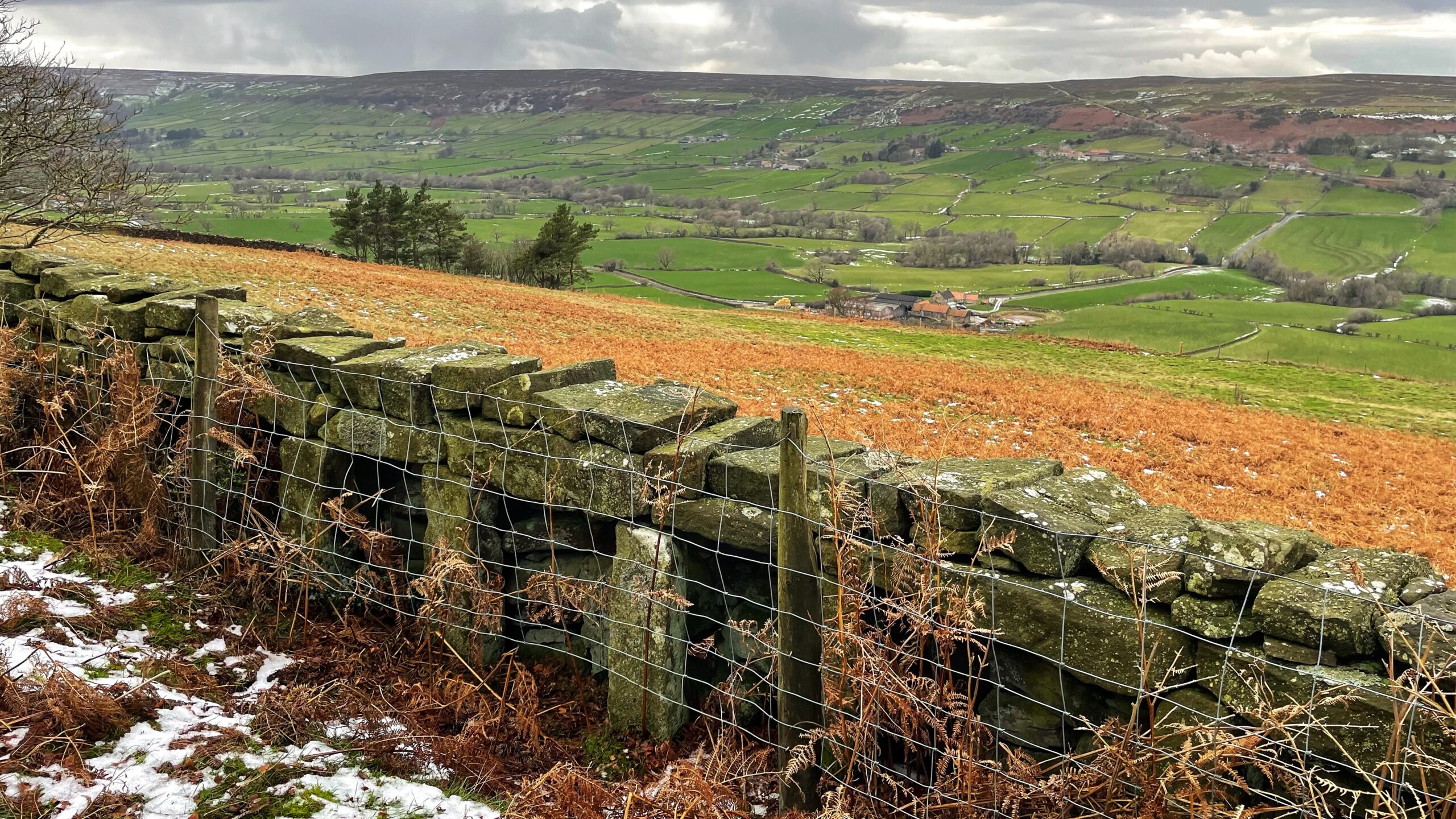 An image of a drystone wall in a rural landscape, featuring several bee boles—vertical rectangular recesses built into the wall's structure to house traditional straw beehives (skeps). The wall is constructed from weathered, mossy stones and is protected with wire fencing and wooden posts. In the foreground, there are patches of light snow and dried brown bracken. Beyond the wall, the hillside slopes down into the lush green valley of Glaisdale with a patchwork of fields, scattered trees, and a small cluster of farm buildings. The background shows distant rolling hills under a cloudy, overcast sky.