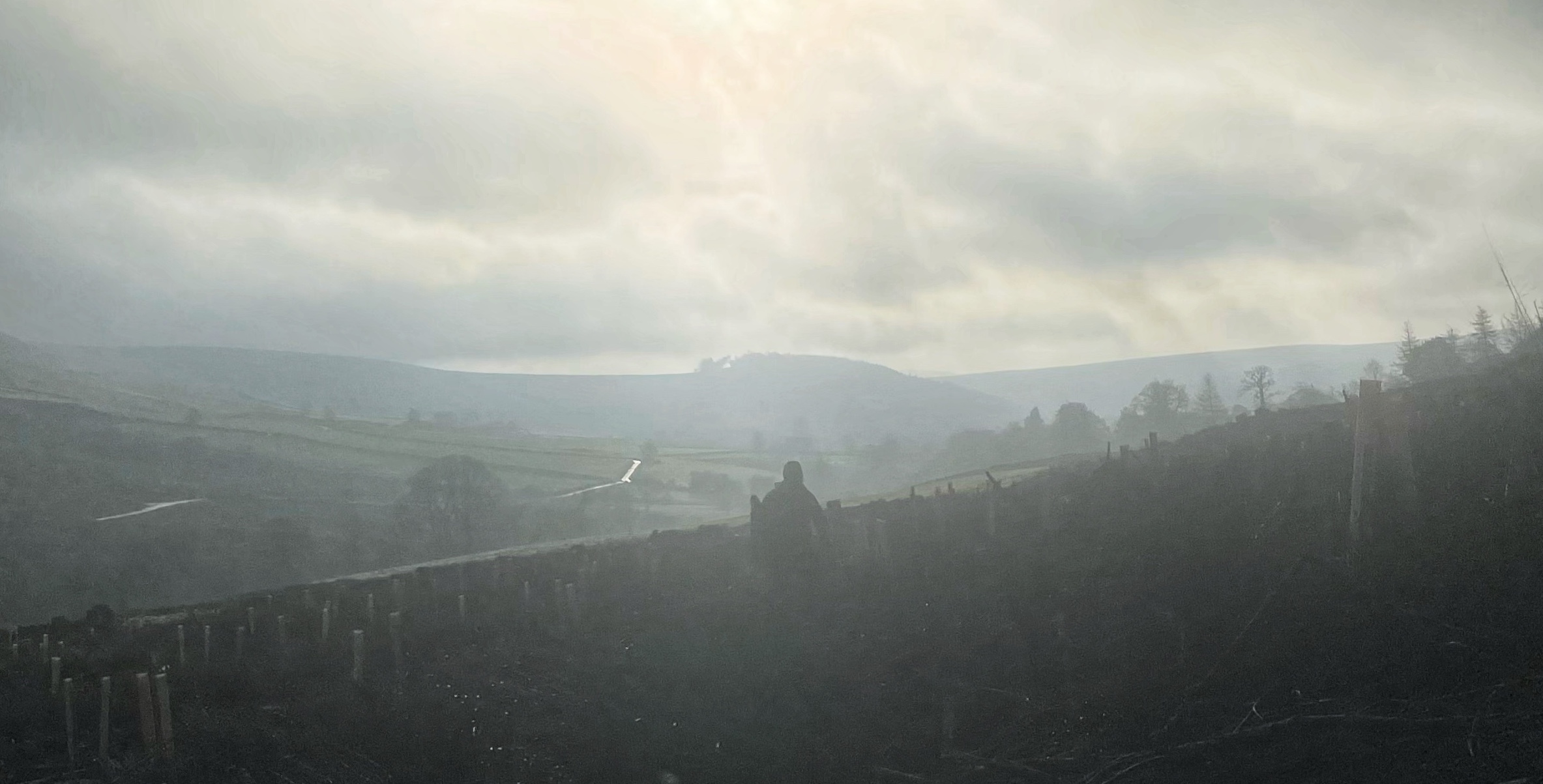 A silhouette of a forestry worker stands in a misty, panoramic landscape of Bransdale in the North York Moors. The foreground is a dark, textured slope dotted with many small plastic tree guards, while a stone wall or fence line runs horizontally across the middle. In the background, rolling green fields of the dale are partially obscured by a thick, atmospheric fog. Sunlight breaks through heavy, grey clouds in the upper centre, casting a soft, ethereal glow over the entire valley.