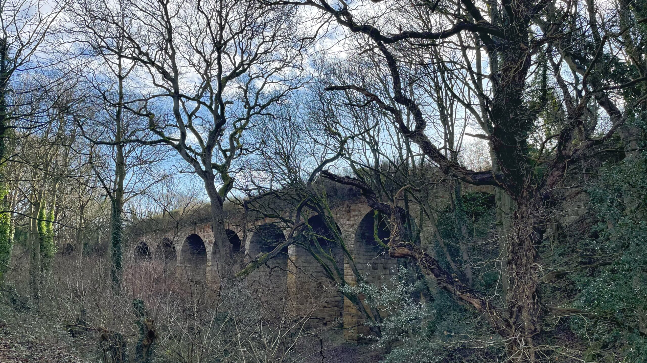 A weathered, multi-arched stone viaduct sits partially obscured by dense, leafless winter trees and tangled branches. The bridge appears old and overgrown with moss, extending across the frame beneath a pale blue sky with light clouds.