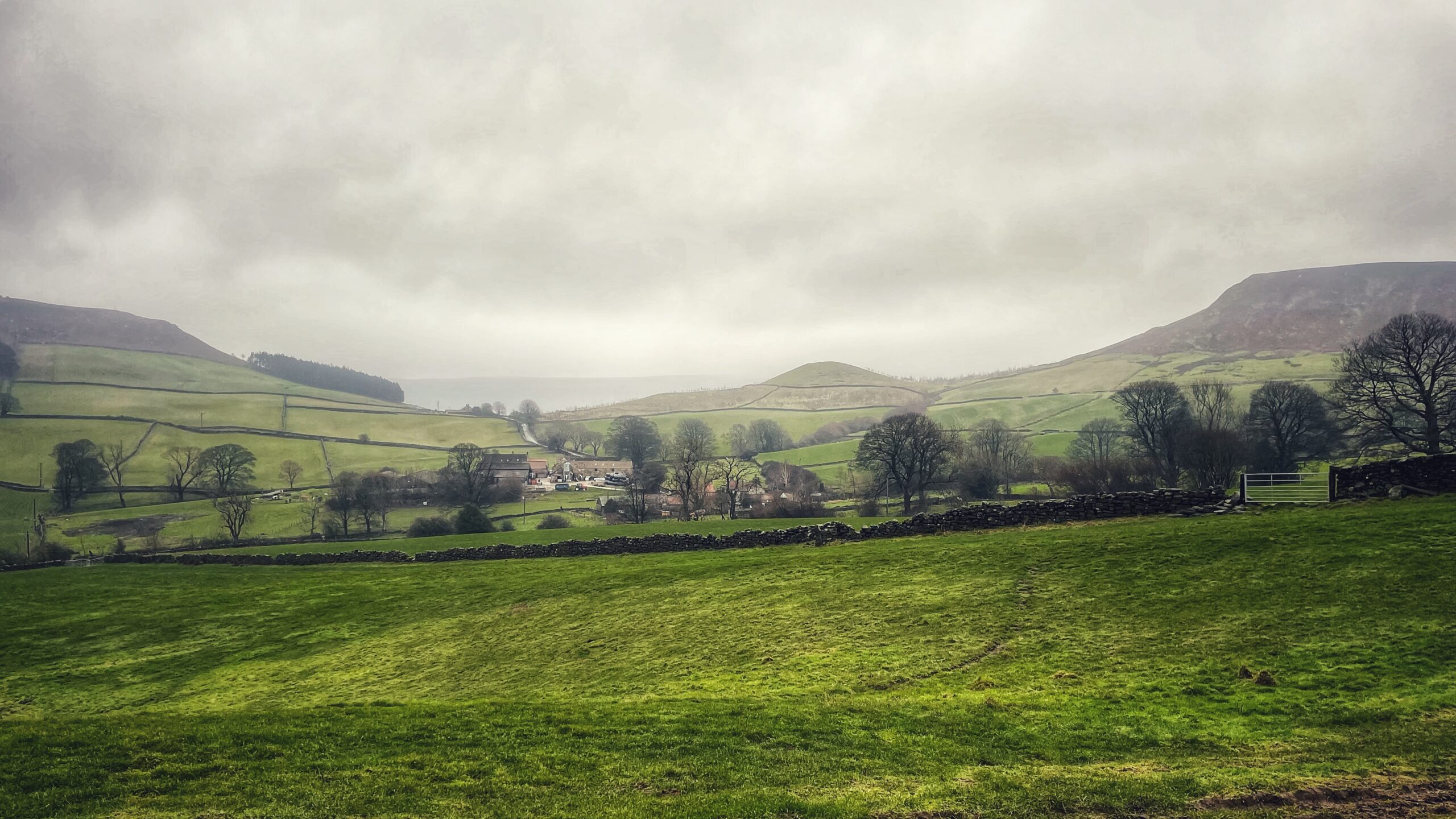 A wide-angle landscape view of Little Fryup Dale in the North York Moors under an overcast, moody sky. In the foreground, a vibrant green grassy field slopes gently downward toward a traditional dark stone dry-stone wall that stretches horizontally across the middle of the frame. Beyond the wall, a small cluster of farm buildings and stone houses is nestled in the valley floor, surrounded by sparse, leafless winter trees. The background features rolling green hillsides divided by a patchwork of stone walls, leading up to the distinct, flat-topped col of Fairy Cross Plain with the conical Round Hill. The atmosphere is misty and soft, with low-hanging grey clouds diffusing the light across the valley.