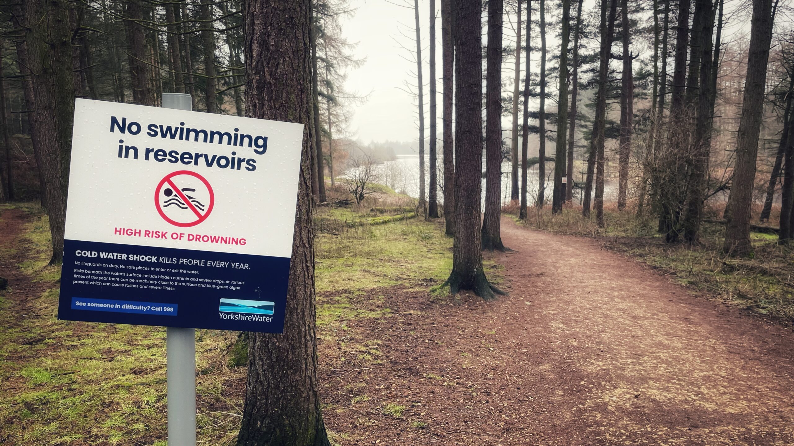 A landscape photograph of a path winding through a dense coniferous forest towards Cod Beck Reservoir in North Yorkshire. In the foreground, a prominent white and navy blue Yorkshire Water sign warns "No swimming in reservoirs," citing "High Risk of Drowning" and the dangers of "Cold Water Shock." The path leads the eye into the background where the calm water of the reservoir is visible through the tall, thin tree trunks under an overcast, misty sky.