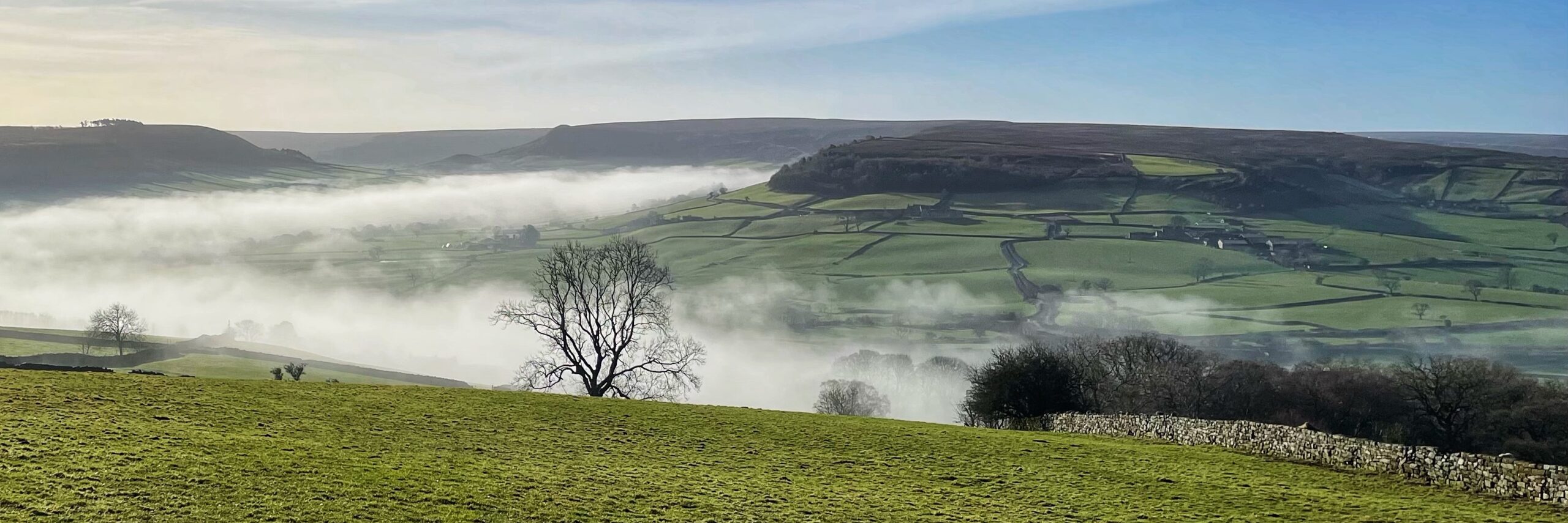 A panoramic, wide-angle shot of the rolling green valley of Eskdale in the North York Moors, partially submerged in a thick, white morning mist rolling in up the dale. In the foreground, a vibrant green grassy hill slopes downward, bordered on the right by a low dry-stone wall. A solitary, leafless dark tree stands prominently in the centre-left, its branches silhouetted against the fog. The midground shows the valley floor blanketed in soft, low-lying clouds that weave between patches of emerald-green fields and small clusters of dark trees. In the background, flat-topped hills and plateaus rise above the mist under a pale, hazy blue sky with soft sunlight filtering through. The overall atmosphere is serene, cold, and ethereal.