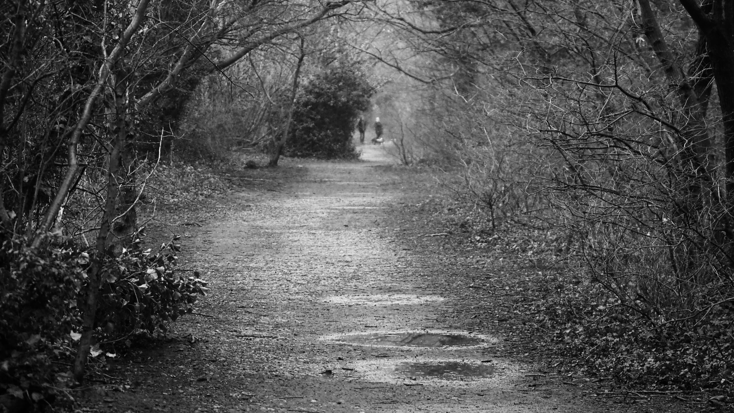 Life Support for a “Green and Pleasant Land”