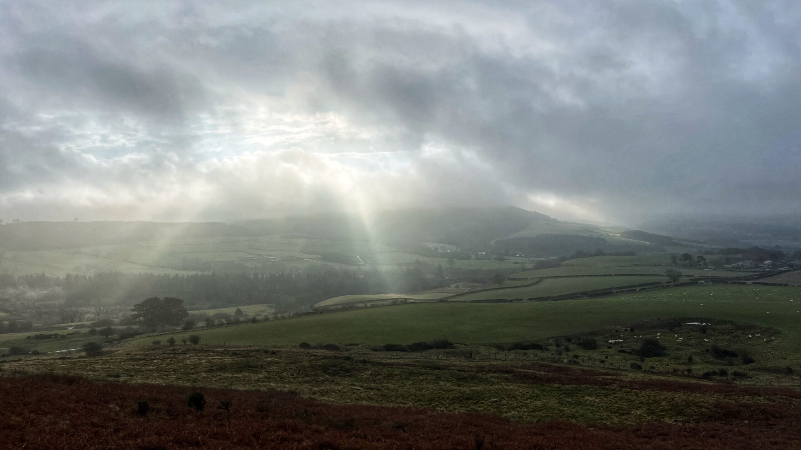 An elevated, wide-angle view of the rolling green countryside of North Yorkshire on a misty, overcast day. In the foreground, a slope of dark reddish-brown bracken and scrub leads the eye down into a valley of patchwork green fields separated by dark hedgerows and thin lines of trees. Dense, low-hanging grey clouds dominate the upper half of the frame, but a dramatic break in the mist allows bright, ethereal "God rays" to beam down onto the valley floor. The light catches the texture of the fields and a distant forested area, creating a stark contrast against the moody, shadowed hillsides in the background. The atmosphere is quiet, damp, and atmospheric.