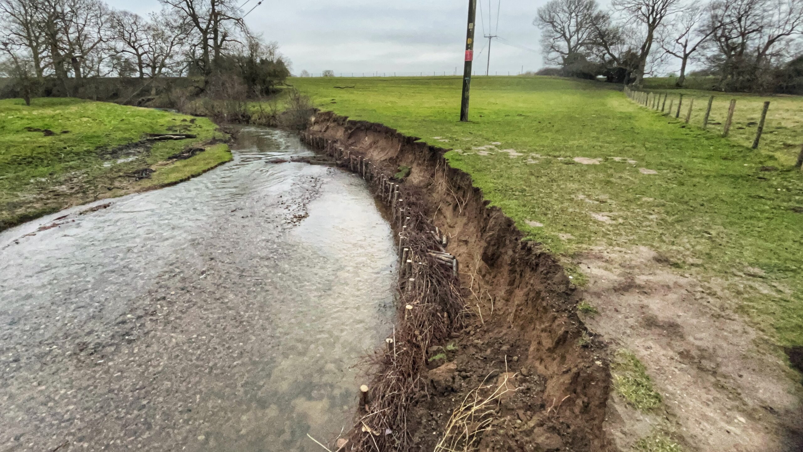 A landscape view of a curved section of the River Leven showing bank stabilisation efforts. The outer bank has been reinforced with a "willow spilling" technique, featuring vertical wooden stakes driven into the riverbed with flexible branches woven between them to create a natural barrier. Above this reinforcement, the steep earth bank shows signs of recent erosion, leading up to a flat, green grassy field. The river is shallow with a visible pebbled bed, and the background features bare winter trees under an overcast sky.