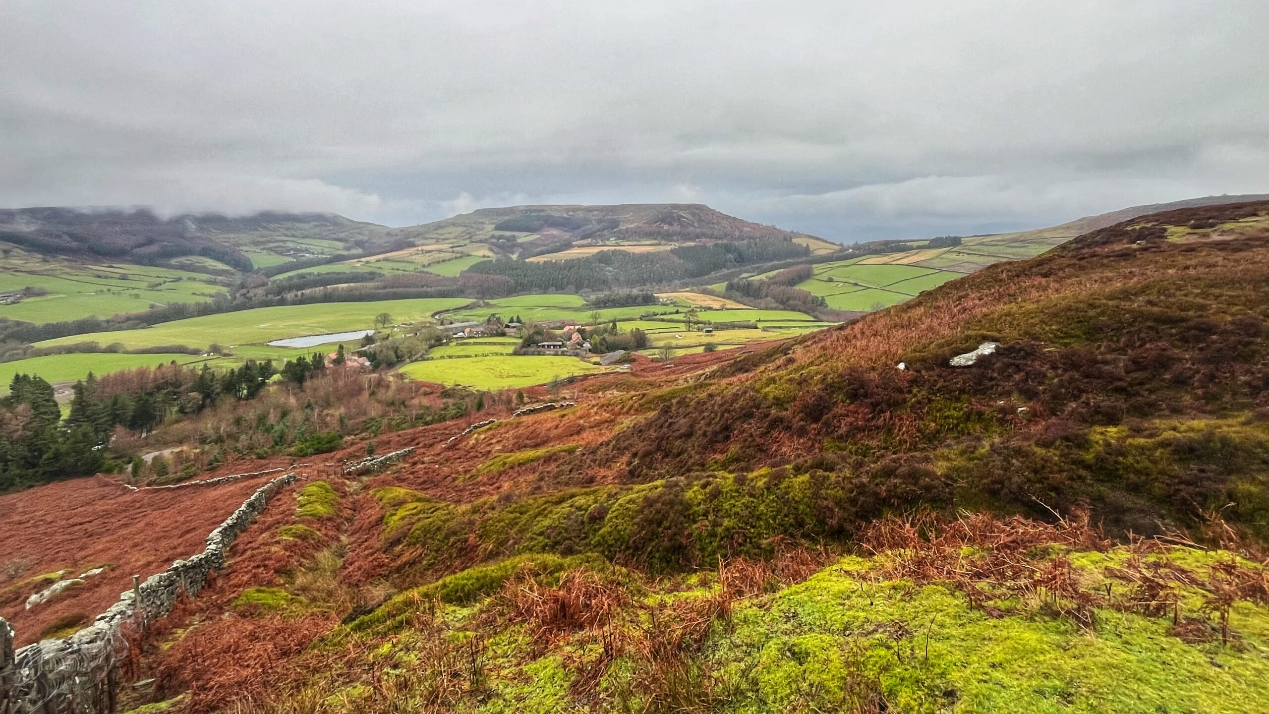 An elevated, wide-angle view of the Bilsdale valley on a misty, overcast day. In the foreground, a steep hillside is covered in vibrant green moss, reddish-brown bracken, and low-lying shrubs, with a rustic dry stone wall running down the slope. The middle ground reveals the small hamlet of Urra, consisting of several stone buildings and farmsteads nestled among bright green pastures and patches of dark evergreen forest. In the background, the rolling hills and plateaus of the North York Moors stretch toward a horizon shrouded in heavy, low-hanging grey clouds and mist.