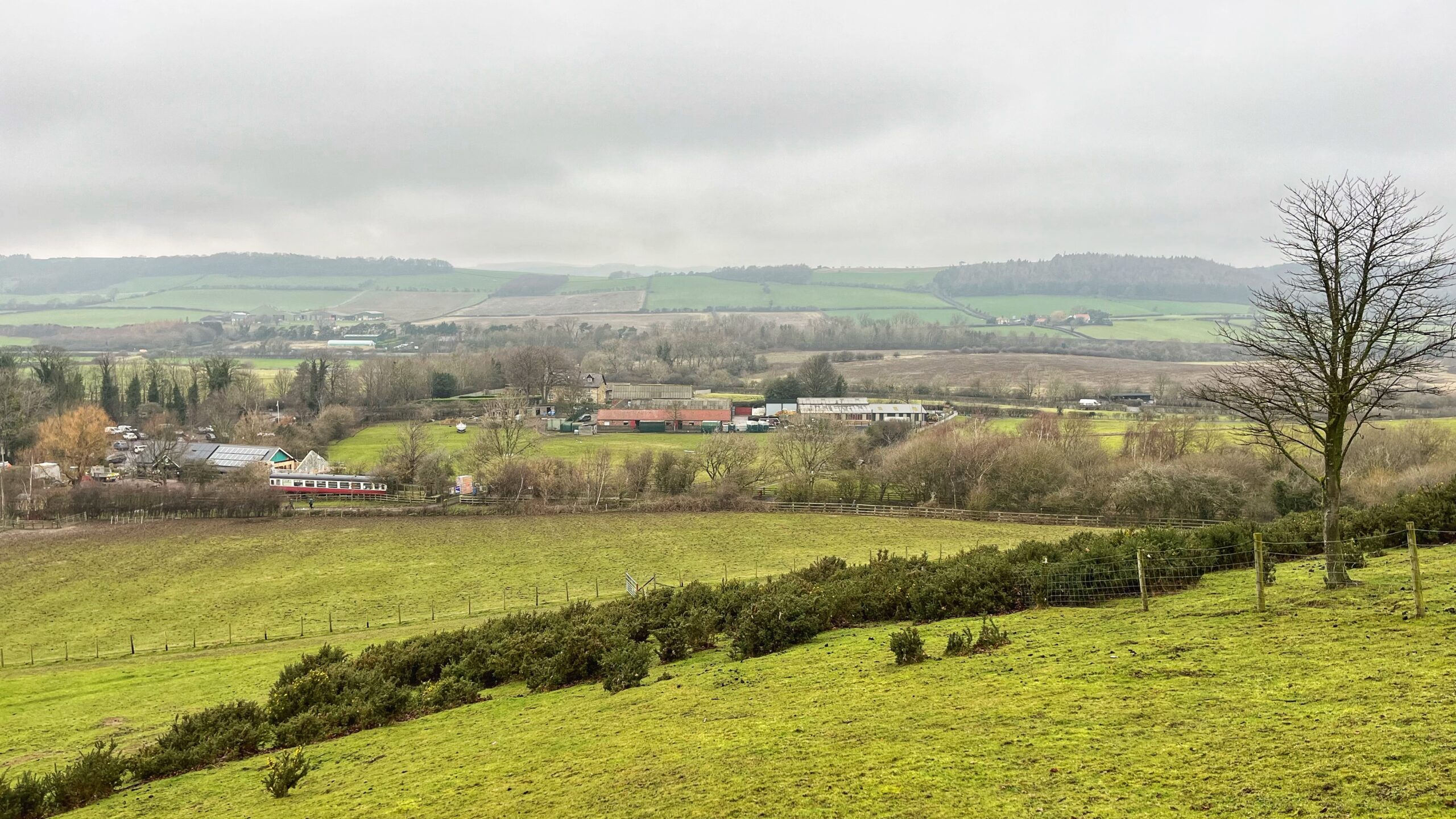 An wide, elevated view of the Pinchinthorpe Walkway Visitor Centre and the surrounding North Yorkshire countryside under a soft, overcast sky. The foreground features a grassy, sloping hillside with patches of low-lying dark green gorse bushes and a lone, leafless deciduous tree on the right. In the mid-ground, the visitor centre complex is visible, consisting of several low-profile buildings with red and grey roofs, nestled among clusters of bare winter trees. A small white and red train carriage sits on a segment of track near the buildings. Beyond the centre, the landscape transitions into a patchwork of rolling green fields and wooded areas that stretch toward a hazy, distant ridgeline. The overall atmosphere is quiet and rural.