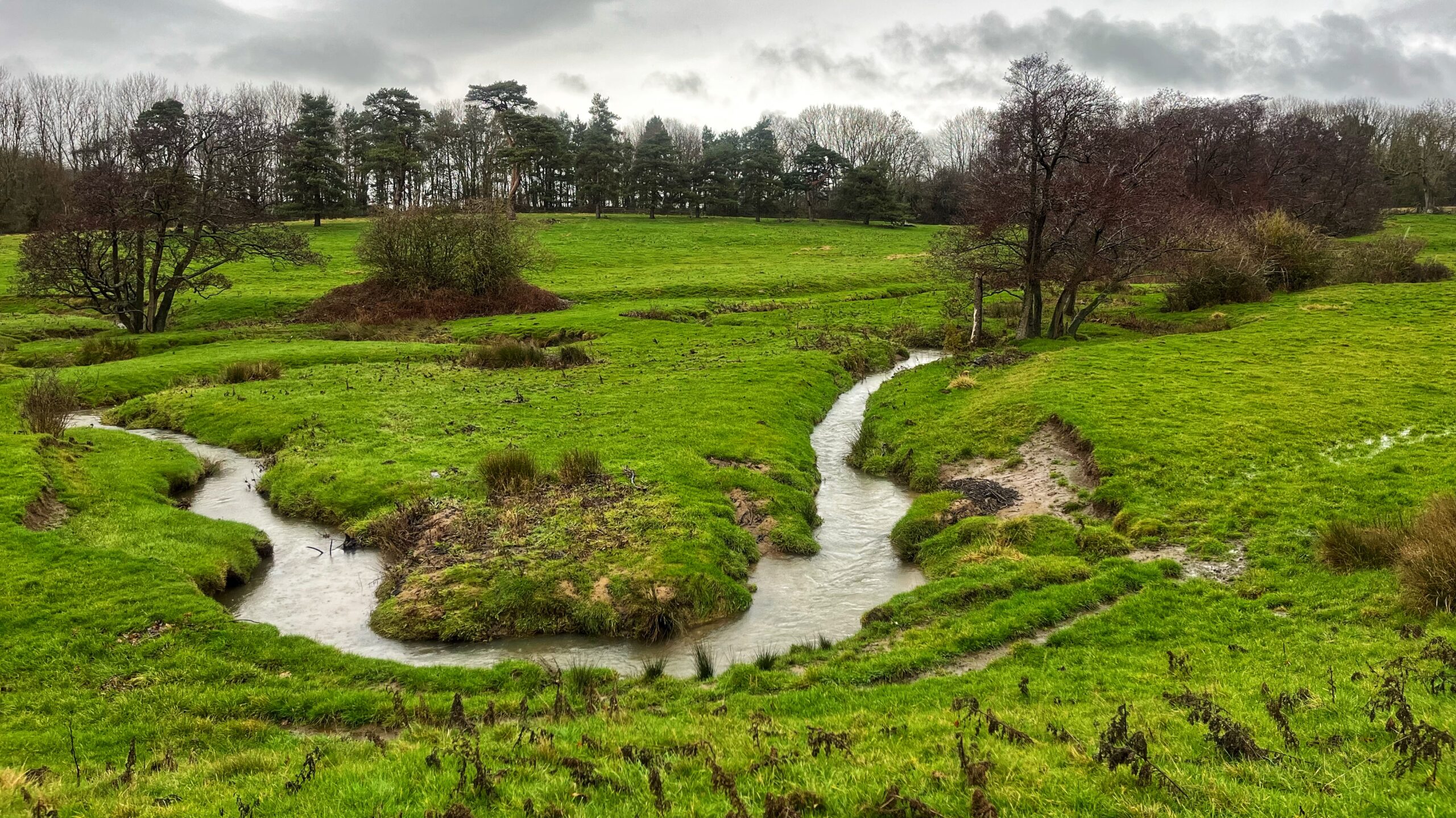 A wide-angle shot looking across the lush, green, undulating landscape of the deserted medieval village of Little Broughton. The terrain is covered in grassy mounds, "humps and bumps" indicating ancient earthworks, under a heavy, overcast sky. The Little Broughton beck, a narrow, silty stream, meanders sharply through the center of the frame in a prominent S-curve. Scattered, leafless deciduous trees and a line of dark evergreens in the background frame the historical site.