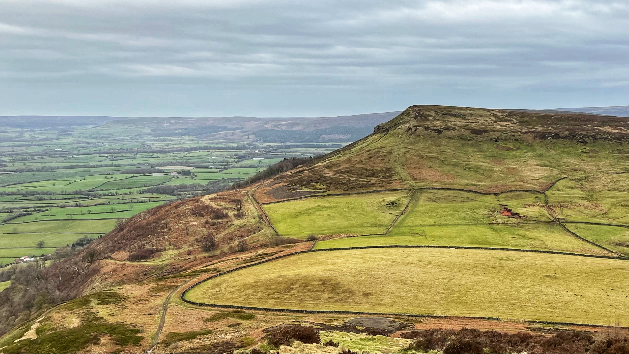 An elevated, wide-angle view of Cold Moor in the Cleveland Hills under a soft, overcast sky. The moor features a prominent, flat-topped ridge with steep, grassy slopes that transition into a patchwork of vibrant green and golden-yellow fields separated by traditional dry stone walls. To the left, the landscape opens up into the vast, misty Cleveland Plain filled with smaller agricultural plots and scattered trees. A narrow path winds along the lower crest of the hill in the foreground, leading the eye toward the dramatic, rocky escarpment.