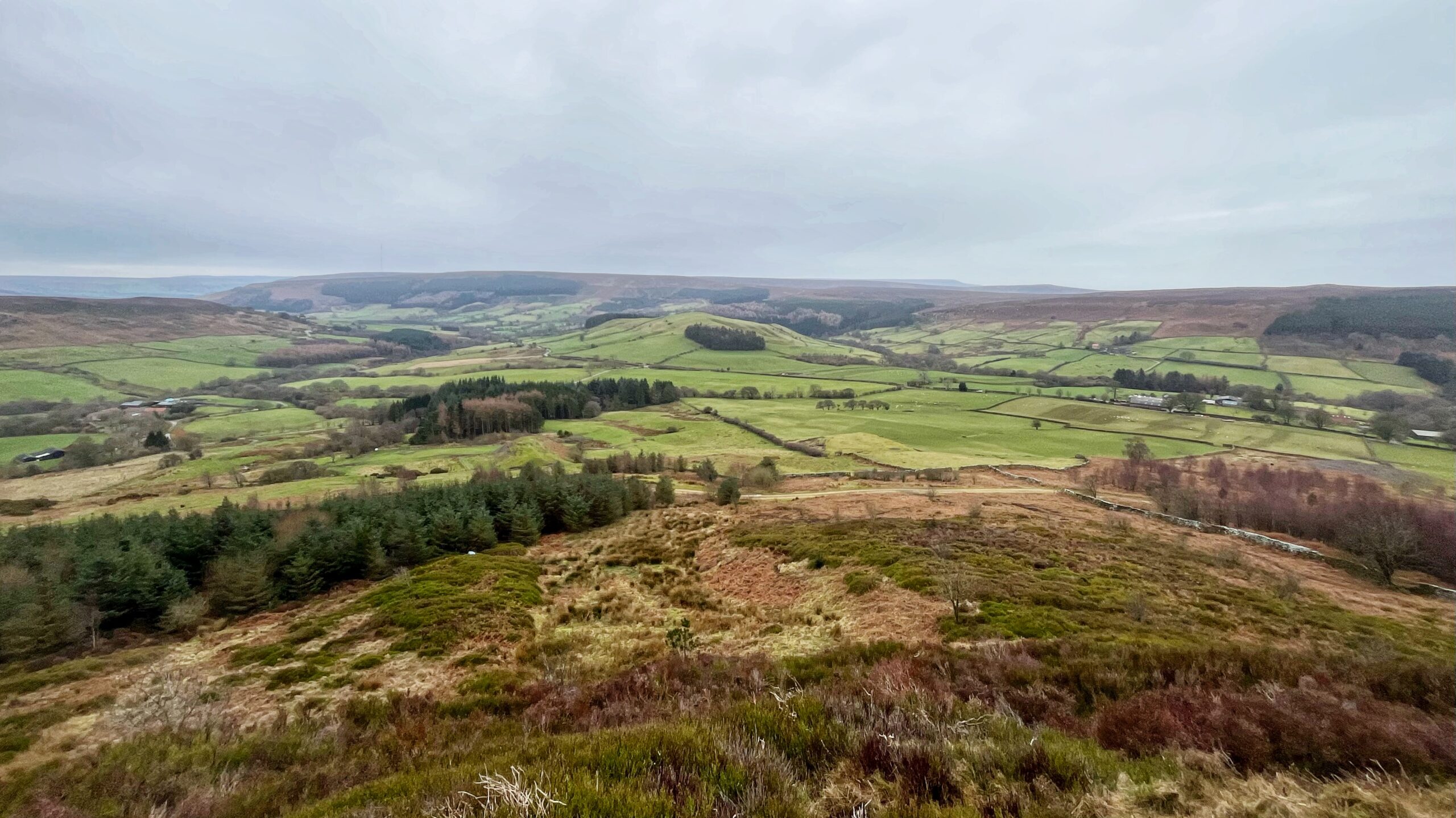 A wide-angle, elevated view of the rolling green landscape of Raisdale under a soft, overcast sky. In the centre, Wath Hill rises as a prominent, rounded green peak with a small, dark cluster of trees on its side. The foreground is dominated by a hillside covered in reddish-brown bracken and low-lying moorland vegetation. The valley floor beyond is a patchwork of vibrant green fields separated by traditional dry stone walls and hedgerows. Scattered clusters of evergreen and deciduous trees dot the mid-ground, while long, flat-topped ridges stretch across the distant horizon, fading into a hazy grey.