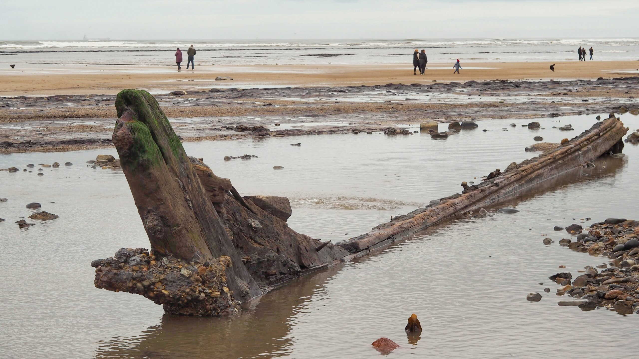 A wide-angle, eye-level shot of a beach at low tide featuring the weathered, wooden remains of a shipwreck. The dark, barnacle-encrusted timber of the hull juts out from a shallow pool of water in the foreground, angled upward towards the left. The rest of the long, narrow frame stretches back into the sand and smaller tide pools. In the background, several people are walking along the expansive sandy shoreline under a grey, overcast sky. The distant waves are visible as thin white lines against the horizon.