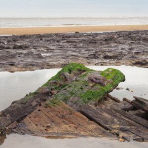 A close-up shot of the weathered, seaweed-covered wooden remains of a shipwreck resting in a shallow tide pool on a beach. Large, dark timber planks with visible circular holes and rough textures are partially submerged in the water. Bright green seaweed grows heavily on the upper sections of the wood. In the background, a vast, dark, rocky shoreline transitions into a strip of tan sand, leading to a calm sea under a pale, overcast sky.