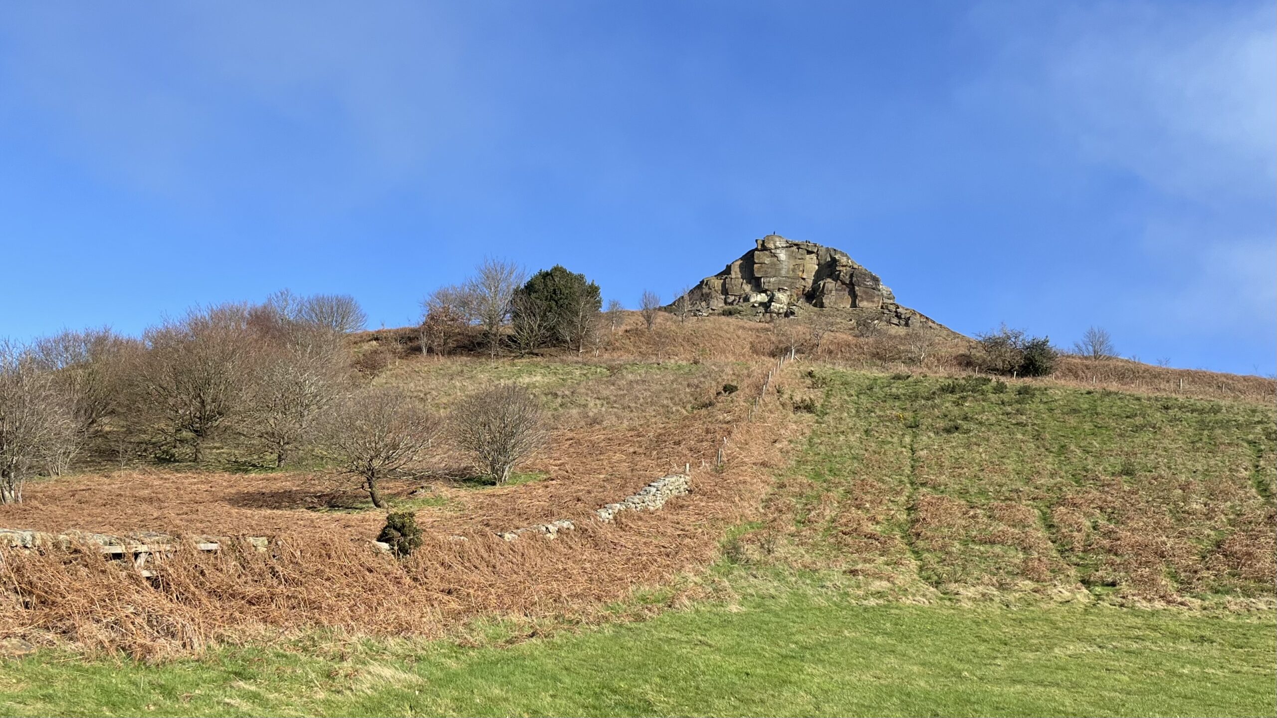 The Pimps of Roseberry