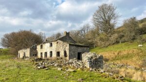 A ruined two-storey stone farmhouse stands in a hillside field in the Yorkshire Dales, its walls crumbling and windows long gone. Scattered rubble surrounds a smaller collapsed outbuilding in the foreground. Bare winter trees frame the scene, a grassy slope rises behind, and two sheep graze to the right, entirely unbothered by the whole sorry business. The sky is bright with patchy cloud.​​​​​​​​​​​​​​​​