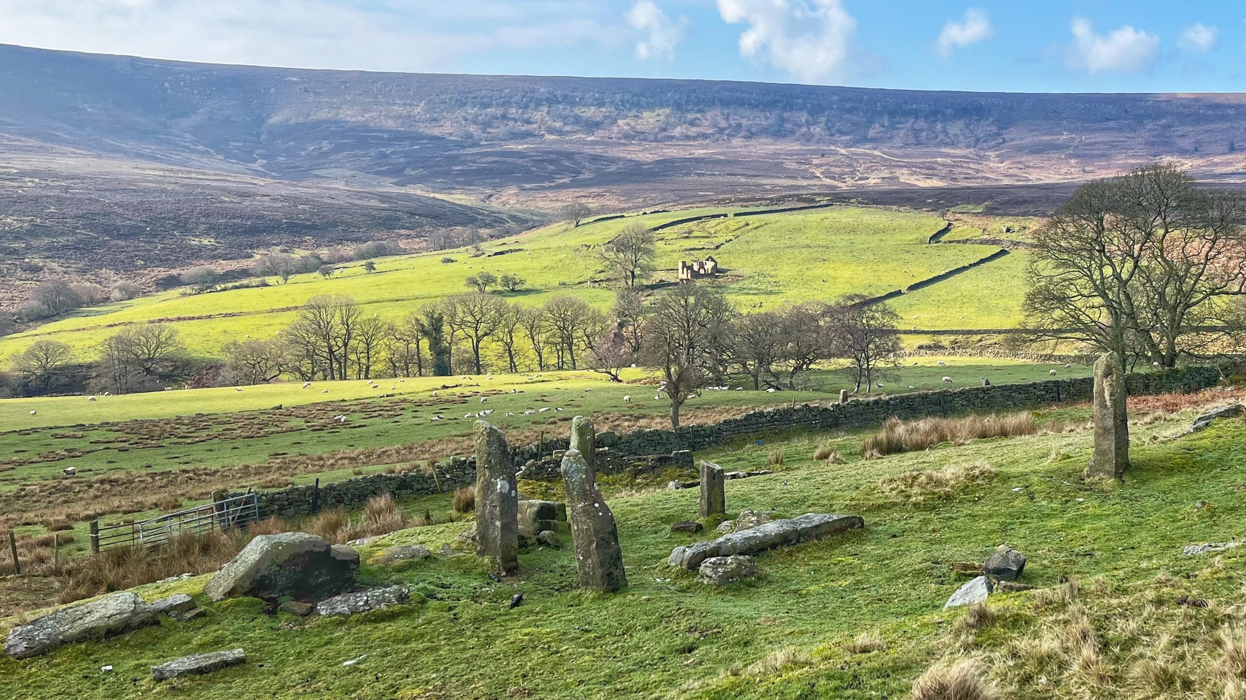 Ancient weathered standing stones and fallen slabs in the foreground, with bright green sheep-grazed fields divided by dry-stone walls sweeping up a broad valley. Bare winter trees line the middle ground, and a ruined farmhouse — Dale Head — sits quietly on the hillside. Behind it, a vast dark moorland escarpment fills the horizon under a pale blue sky with a few clouds.