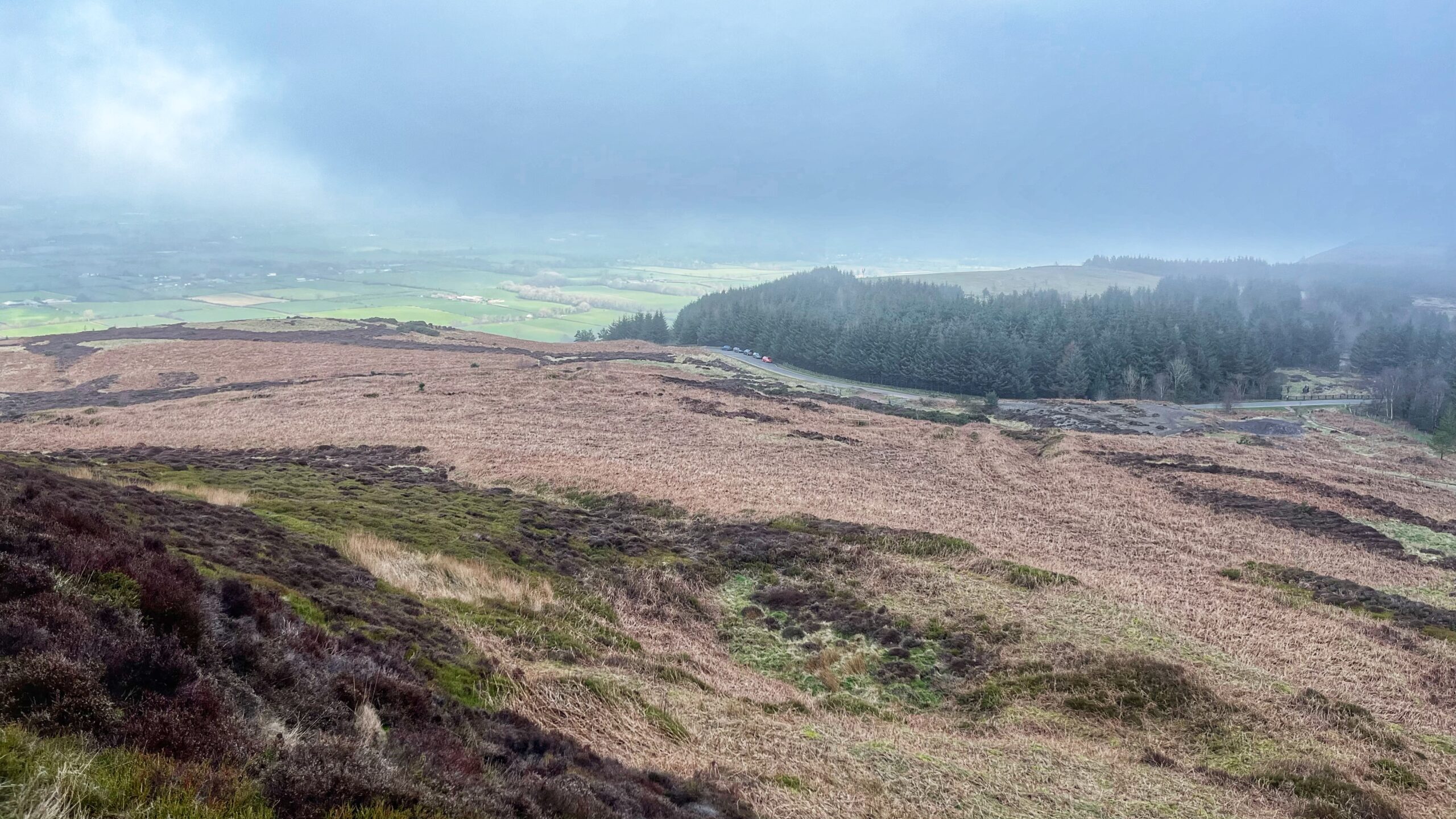 A view from the upper slopes of Carlton Bank, North Yorkshire, looking north-west across open moorland of dead bracken and heather towards the patchwork of green fields in the valley below. A conifer plantation runs along the right-hand side, bordered by a road with a small car park. Low cloud and mist hang over the hills in the distance.
