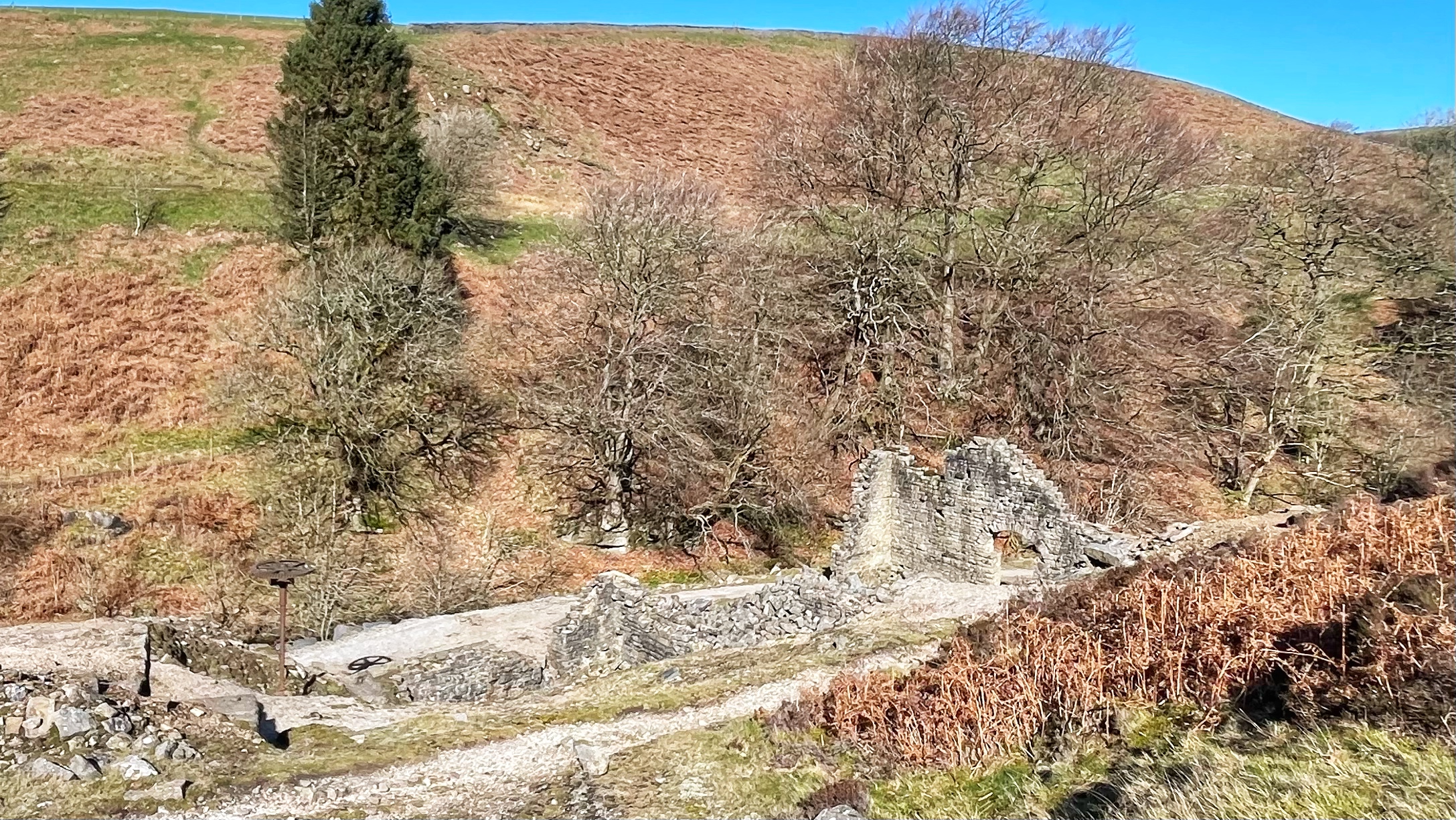 Ruins of the Prosperous smelt mill on a bright early spring day. Stone walls, largely collapsed, sit at the foot of a steep hillside covered in dead bracken and bare trees. A lone evergreen stands tall to the left. A rusty metal wheel mechanism stands on top of a shaft, its shadow falling on a flat stone surface nearby. The hill rises sharply behind, under a rather optimistic blue sky.​​​​​​​​​​​​​​​​
