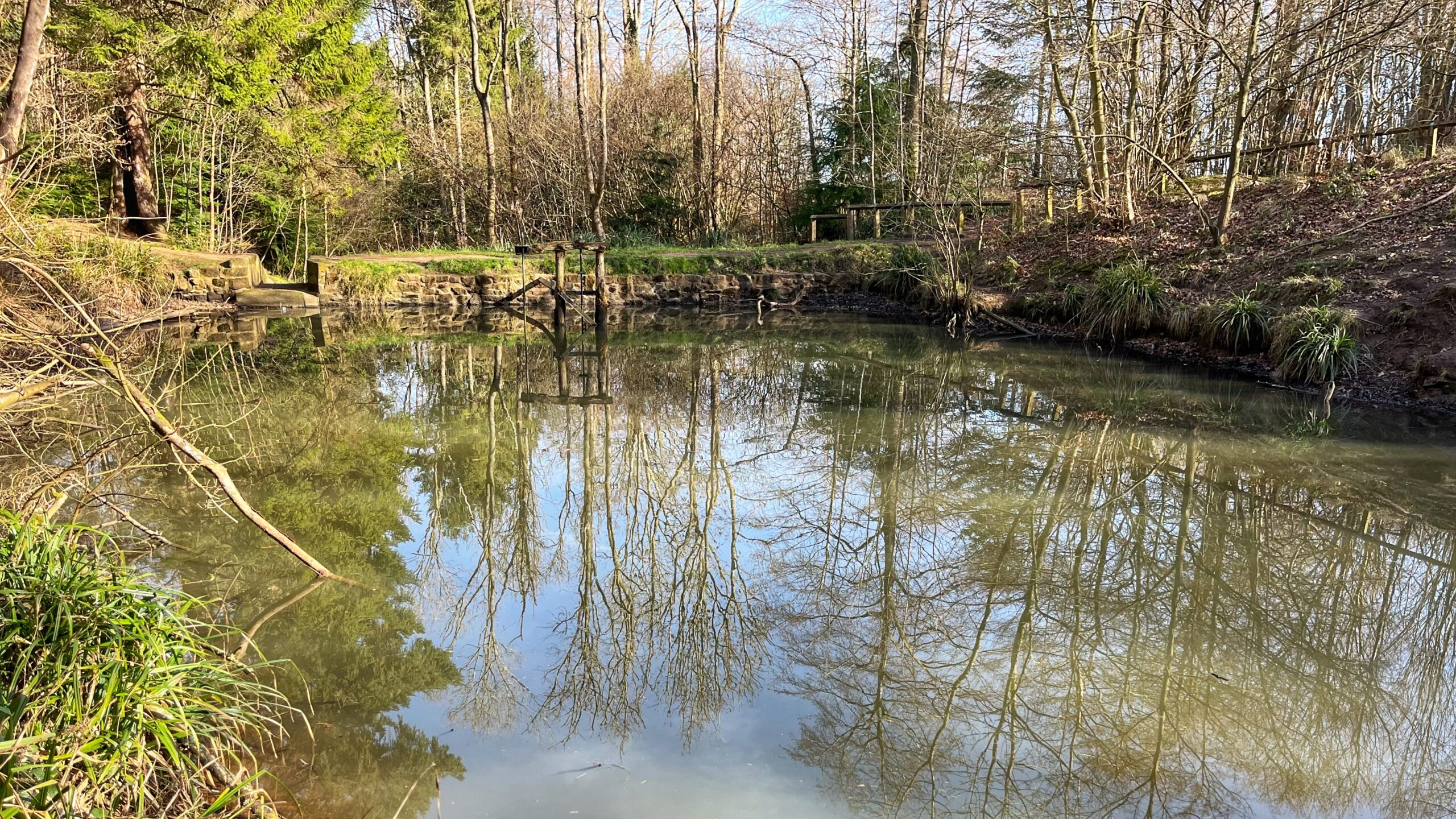 A still woodland pond in early spring, reflecting bare trees and a pale blue sky in its glassy surface. A stone sluice gate sits on the far bank, flanked by sparse woodland just beginning to show the first hints of green. Reeds and grasses line the edges.