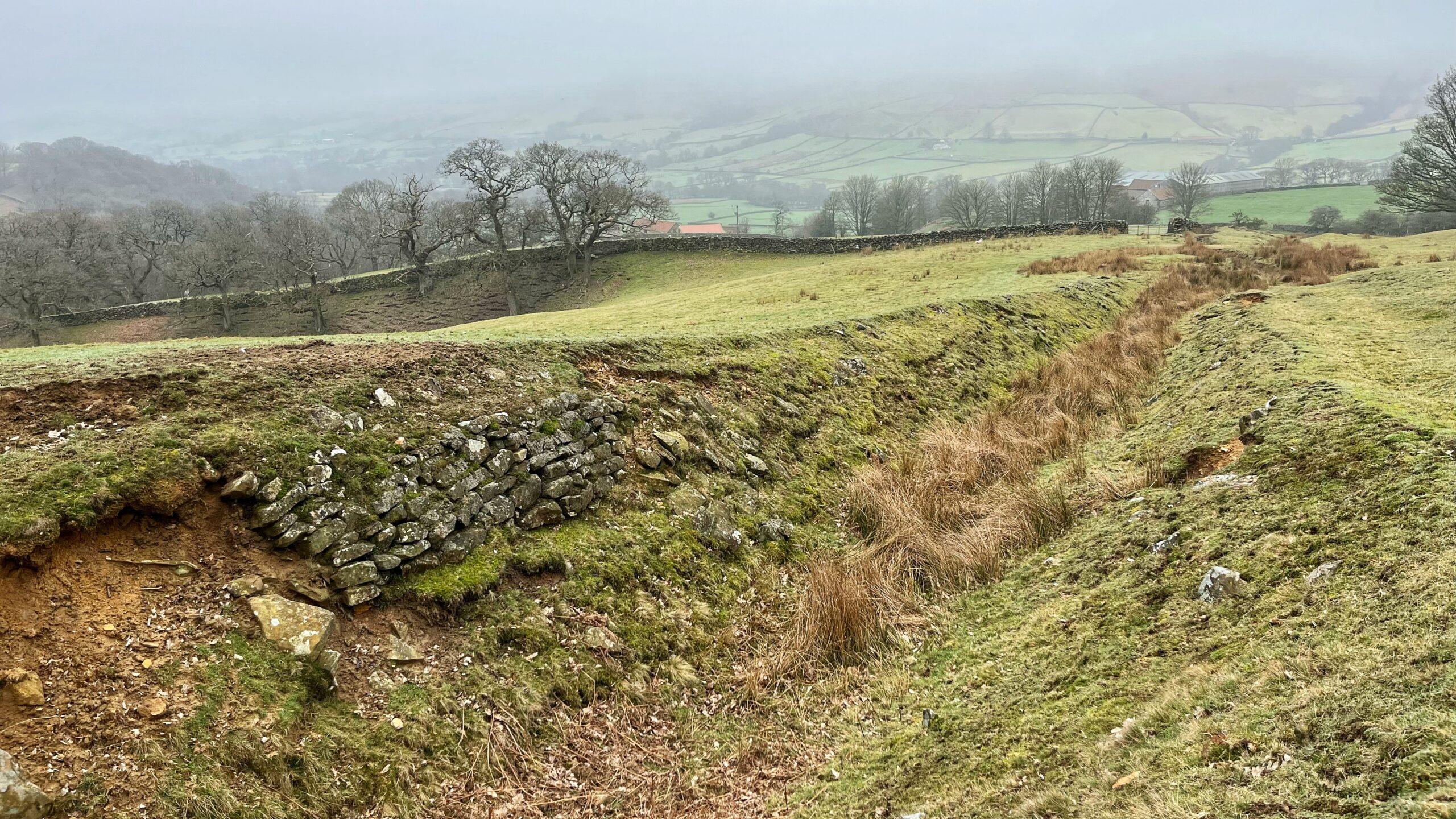 A grey, misty winter day in Farndale. A partially collapsed dry stone retaining wall runs along the muddy hillside bank of a sunken hollow-way in the foreground, with rough grass and exposed earth beside it. The view opens across a broad, gently rolling valley of green fields divided by dry stone walls, with bare winter trees and a farm building with a red roof visible in the middle distance, all fading softly into low cloud.