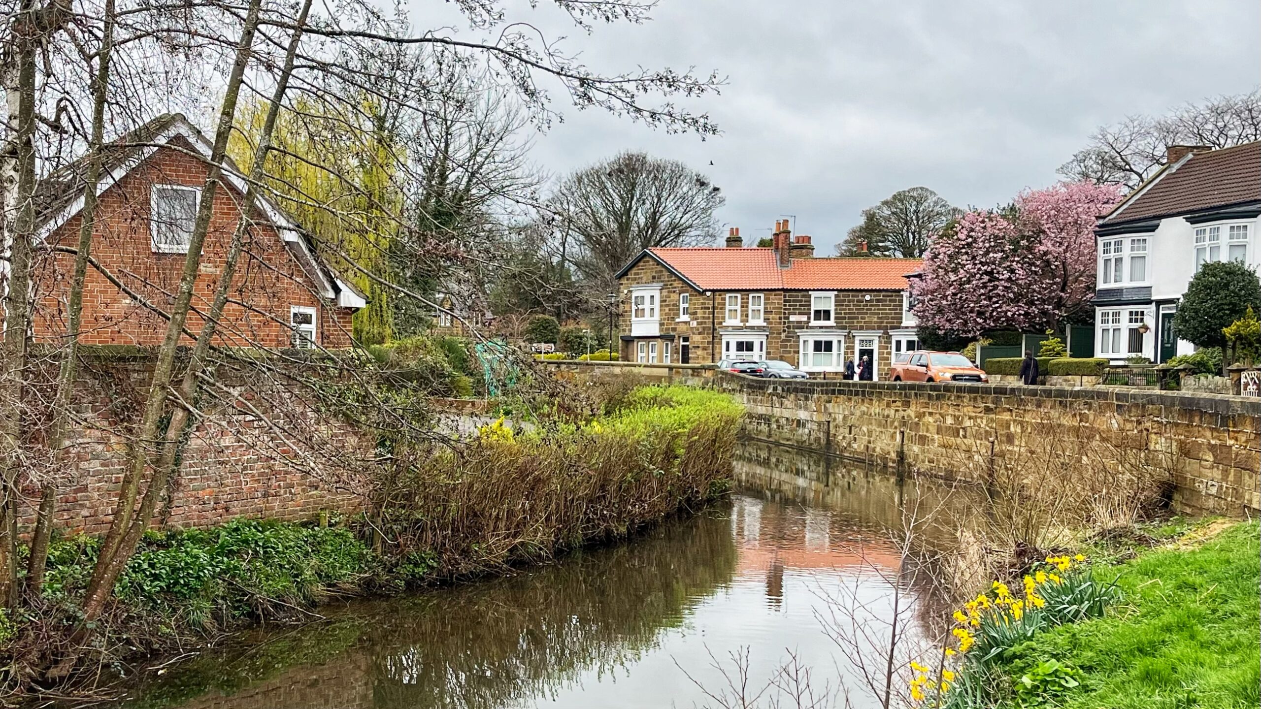 A view across the River Leven in Great Ayton, in early spring. Stone walls line both banks above the calm, reflective water. Daffodils brighten the near bank. Beyond the wall, a row of houses sits in fine British fashion under a properly grey sky. The stone house right of centre is a solidly built, two-storey Yorkshire sandstone cottage with a rather cheerful terracotta-tiled roof and neat white-framed sash windows. A pink-blossomed tree rises beside it, doing its absolute best to lift the mood. Bare trees, parked cars, and a solitary pedestrian complete the scene.​​​​​​​​​​​​​​​​
