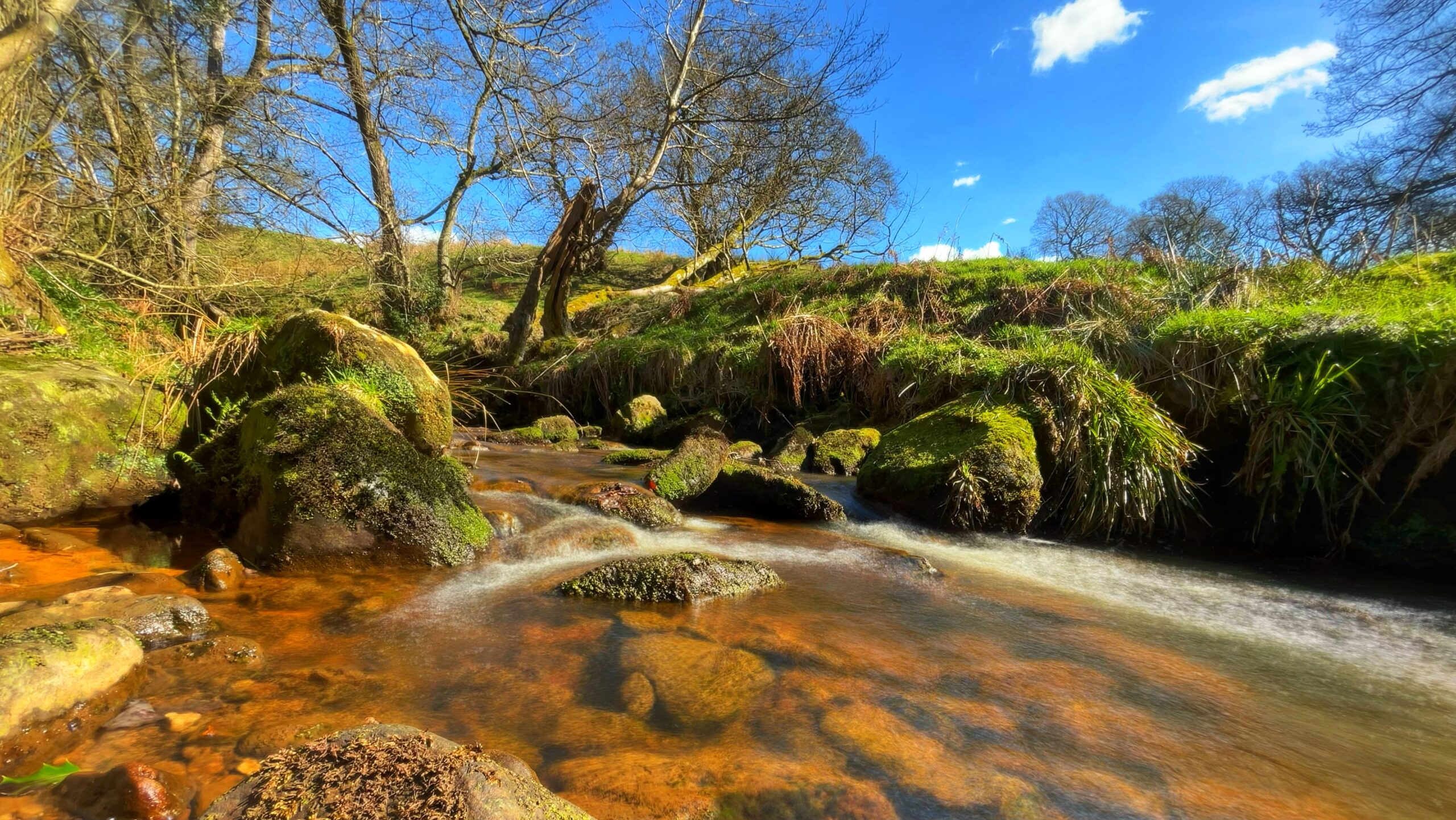 Bloworth Slack—Not as Lazy as It Sounds