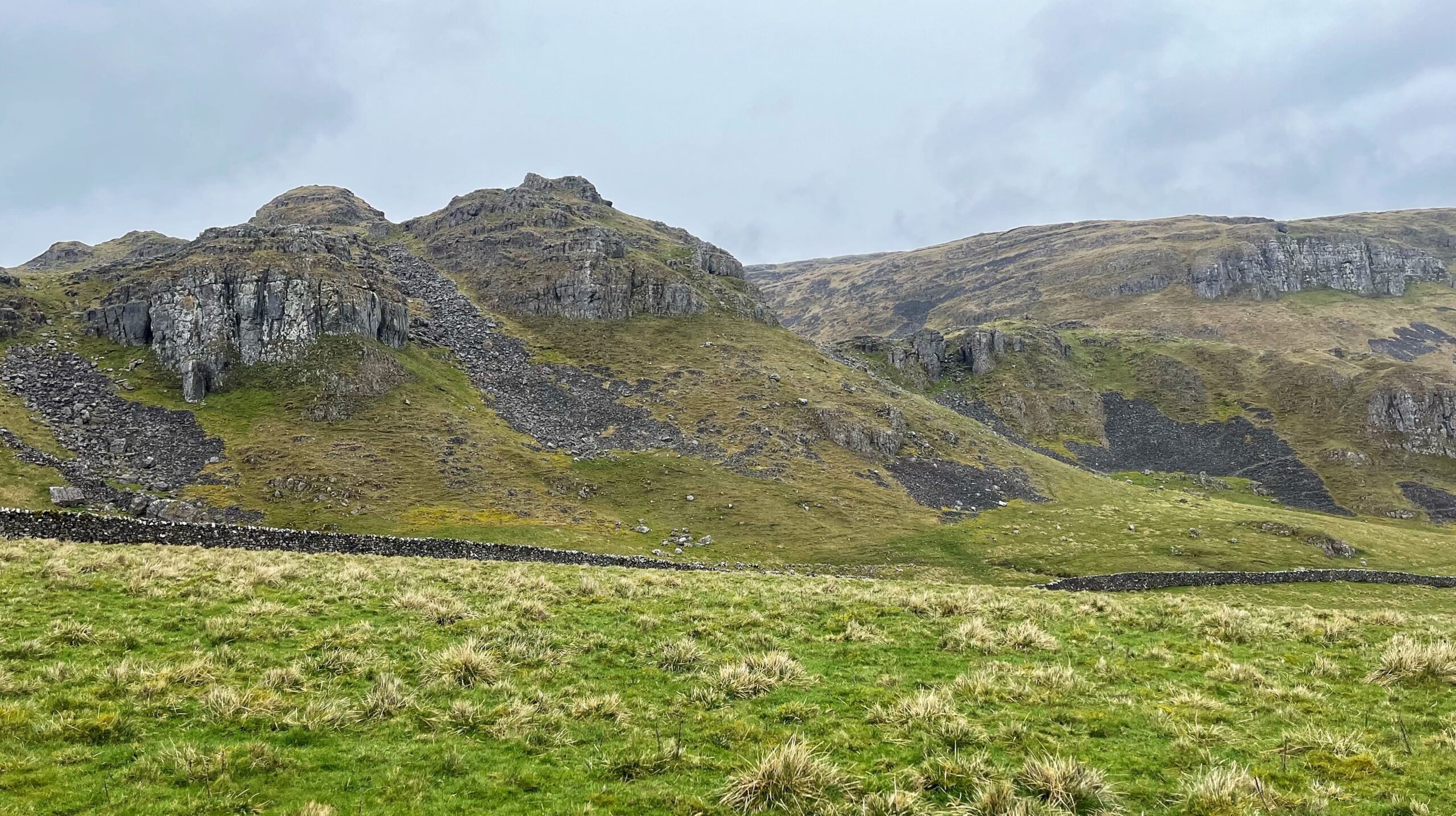 Grassy foreground with tufts of rough pasture leading to a low dry-stone wall, beyond which rises Warrendale Knott—a rounded, rocky hill streaked with loose scree. Behind it, the pale limestone cliffs of Attermire Scar stretch across the hillside under a grey, overcast sky.