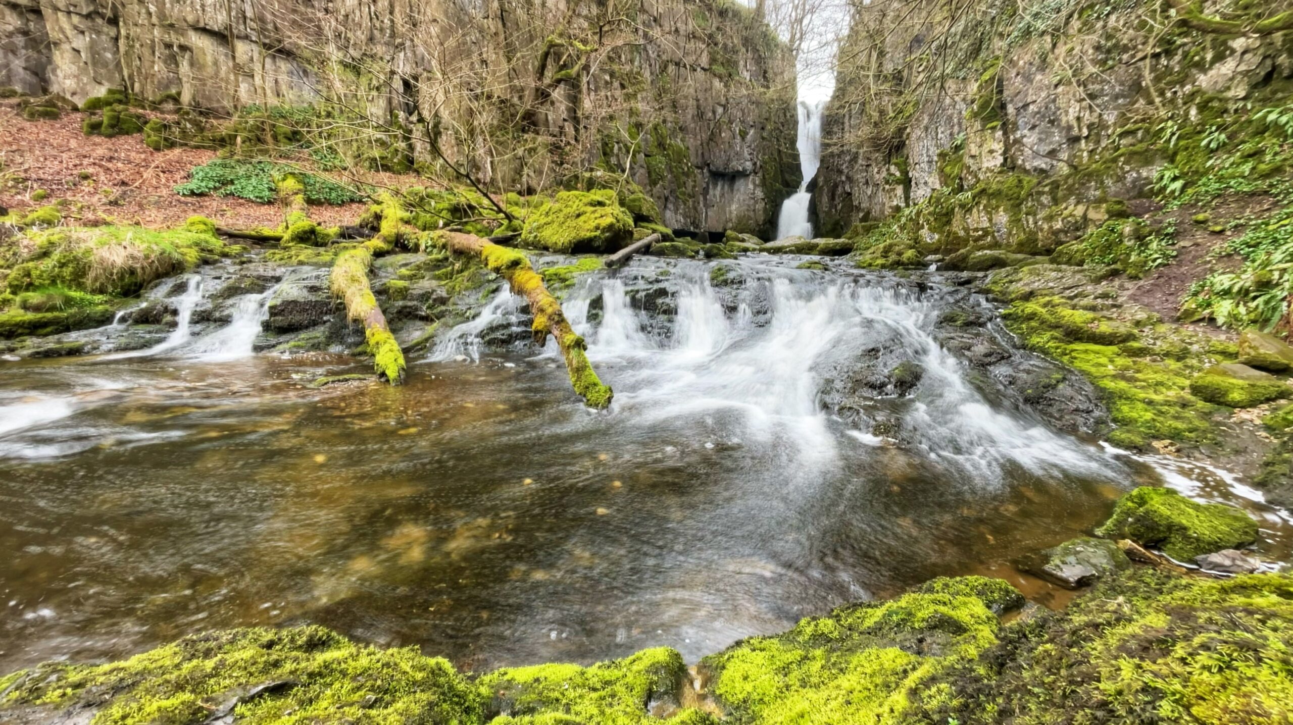 A limestone gorge waterfall in early spring. In the background, a narrow white waterfall drops vertically through a tall, sheer-sided rocky ravine draped in bare trees. In the foreground, the beck flows across wide, flat rocks in broad shallow cascades, with two moss-covered fallen logs lying across the stream. The rocks and banks are covered in vivid bright green moss. The water has a silky, blurred appearance, suggesting a long camera exposure. The overall mood is secluded and wild.​​​​​​​​​​​​​​​​