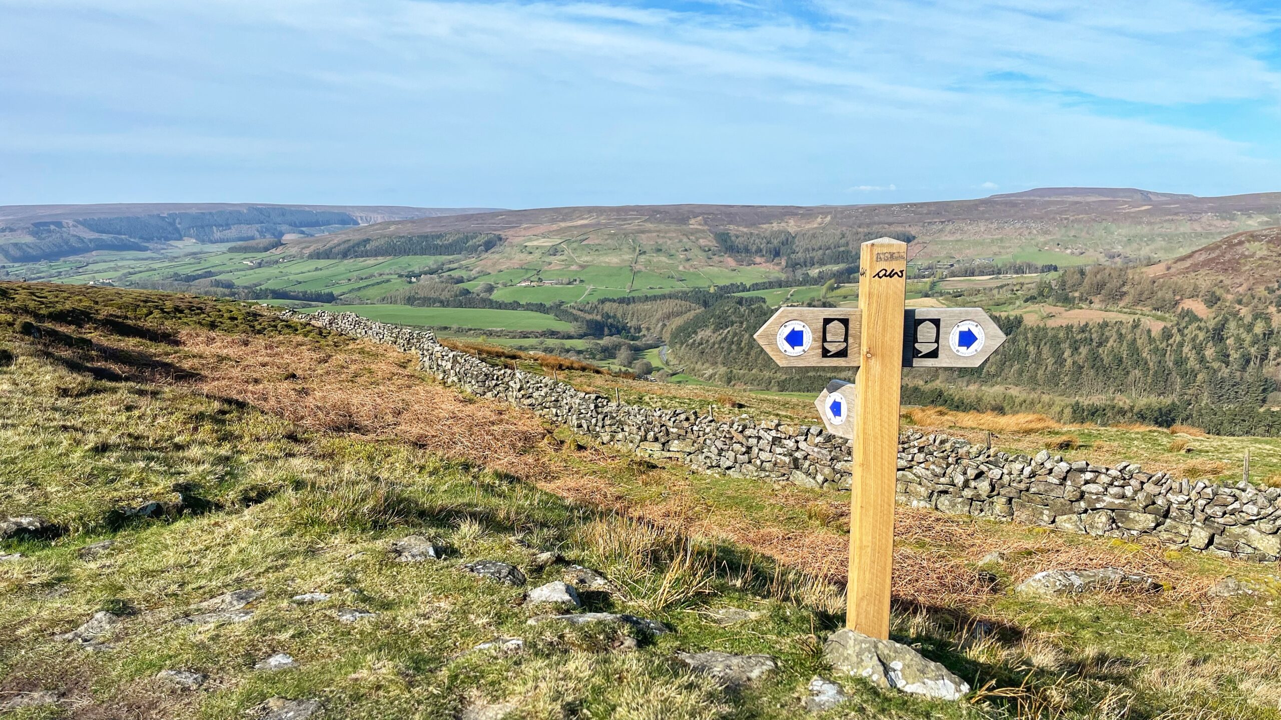 A new wooden fingerpost stands on an open moorland hillside, with a dry-stone wall running diagonally into the distance and a broad valley of green fields and woodland beyond. The initials “AW” are carved into the top of the post — a quiet nod to Alfred Wainwright. Three waymarker plates are fixed to the arms: blue arrows indicating a Public Footpath in all directions, and acorn symbols denoting a National Trail. The sky is bright with high cloud, and the North York Moors roll away to the horizon.​​​​​​​​​​​​​​​​
