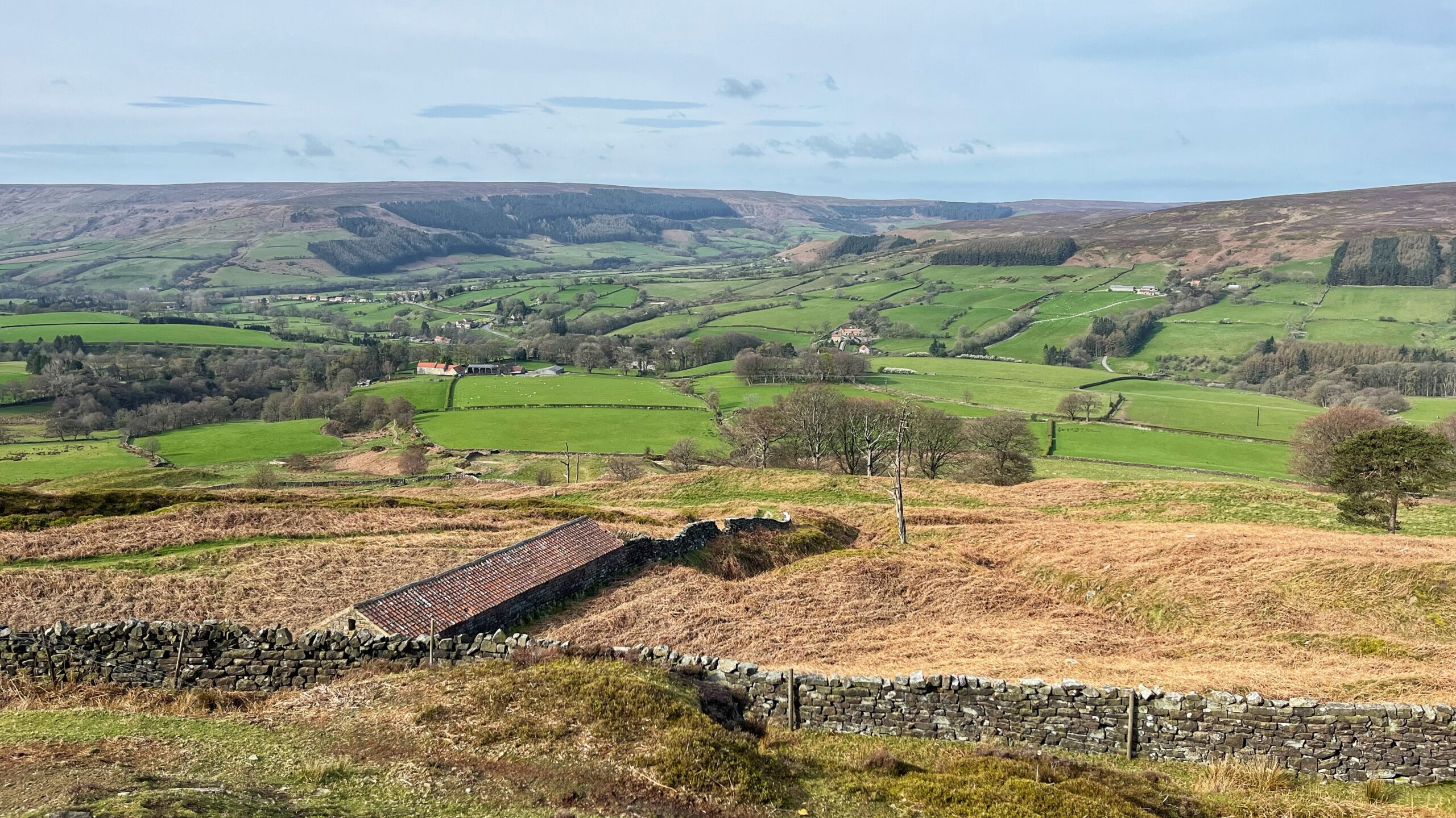 A sweeping view across Bilsdale in the North York Moors, looking north across a broad valley of vivid green fields divided by dry stone walls and hedgerows. In the foreground, golden-brown moorland bracken surrounds a low stone barn with a red pantile roof, tucked behind a sturdy dry stone wall. The valley floor below holds scattered farms, bare winter trees, and sheep pastures. The village of Chop Gate sits quietly in the far distance. Beyond it, dark conifer plantations climb the valley sides, giving way to the flat, bare plateau of Bilsdale West Moor under a pale, cloud-scattered sky.​​​​​​​​​​​​​​​​