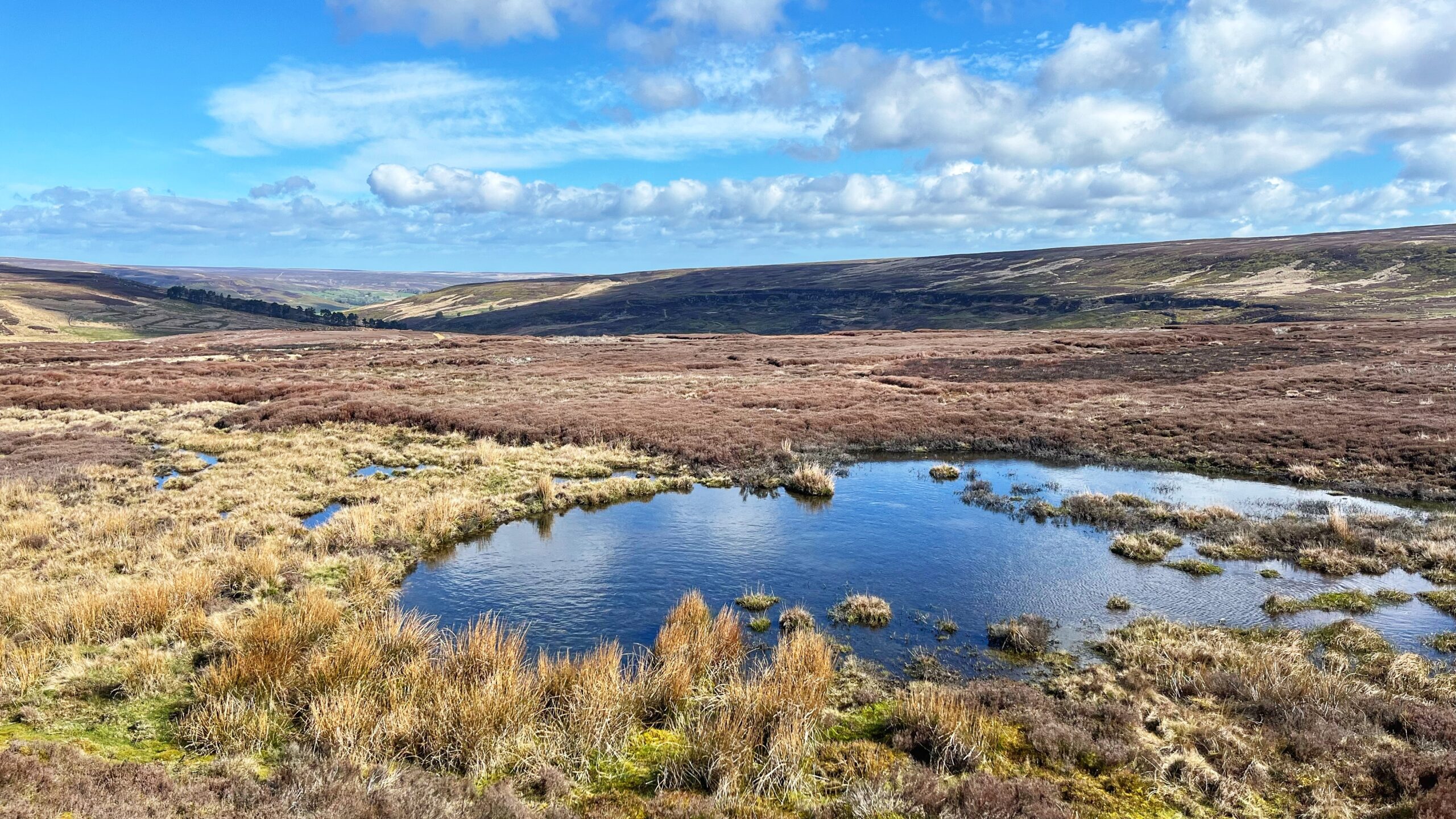 A photograph capturing the expansive view looking down the upper Esk valley into Esklets from the elevated vantage point of the former ironstone railway. The image illustrates the distinct landscape of the North York Moors, showing the transition from the high moorland plateaux, which are dominated by managed grouse moors and dark heather, down to the green in-bye fields and pasture fields of the valley floor.