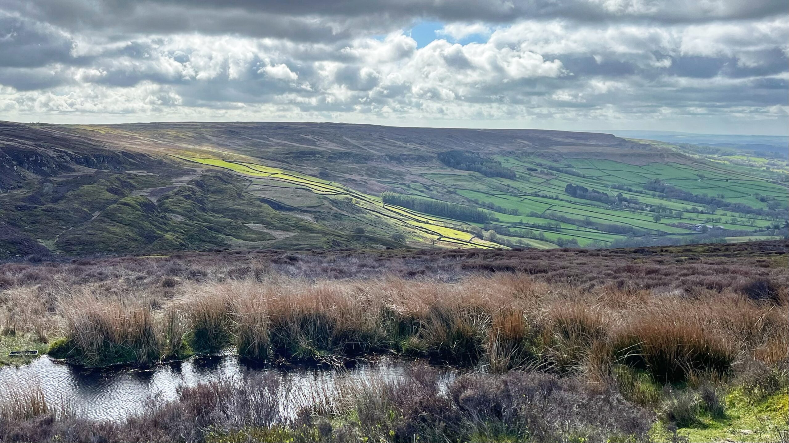 A view from High Blakey Moor across boggy moorland in the foreground, where tufts of brown moorgrass surround a small peaty pool. Beyond, a shaft of sunlight falls on the bright green intake fields of Farndale East, divided by dark drystone walls stepping down the hillside. Above, the broad flat ridge of the moor stretches under a sky of rolling cloud, with the valley floor far below. Not bad for a Saturday.​​​​​​​​​​​​​​​​