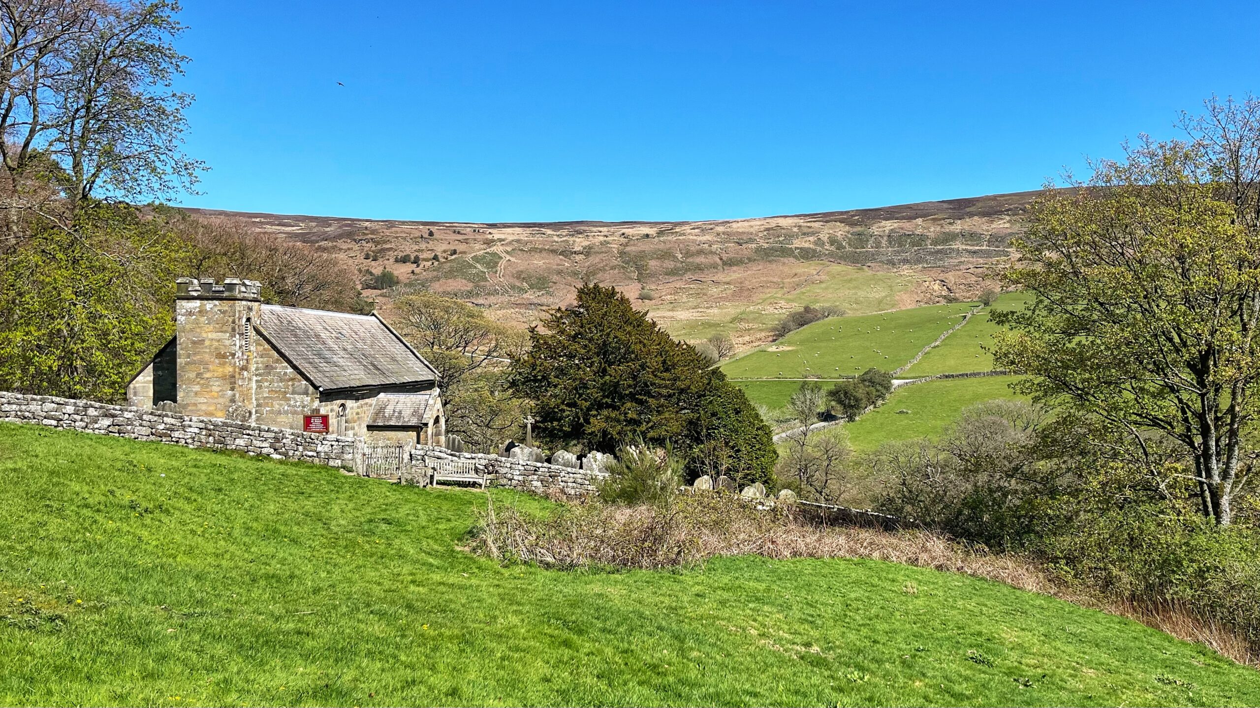 St Nicholas Church, Cockayne, Bransdale: a small, ancient sandstone church with a modest crenelated tower, set behind a dry-stone wall on a sunlit green hillside, with a churchyard cross and scattered gravestones visible. Beyond it, the valley of Bransdale opens out beneath a vast blue sky, with sheep grazing on bright green fields divided by dry-stone walls, and open moorland rising steeply to the horizon.​​​​​​​​​​​​​​​​