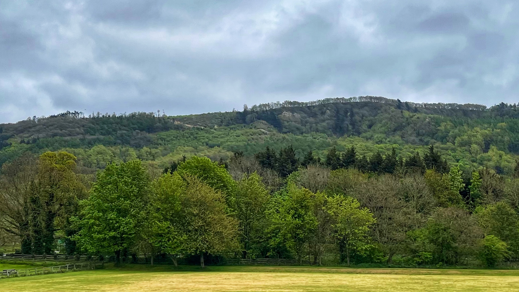 A flat field and a line of trees sit under a large, wooded hill and a grey sky. This is the sandstone crag of Arncliffe. The name comes from an old word for eagle, though the birds are currently missing.