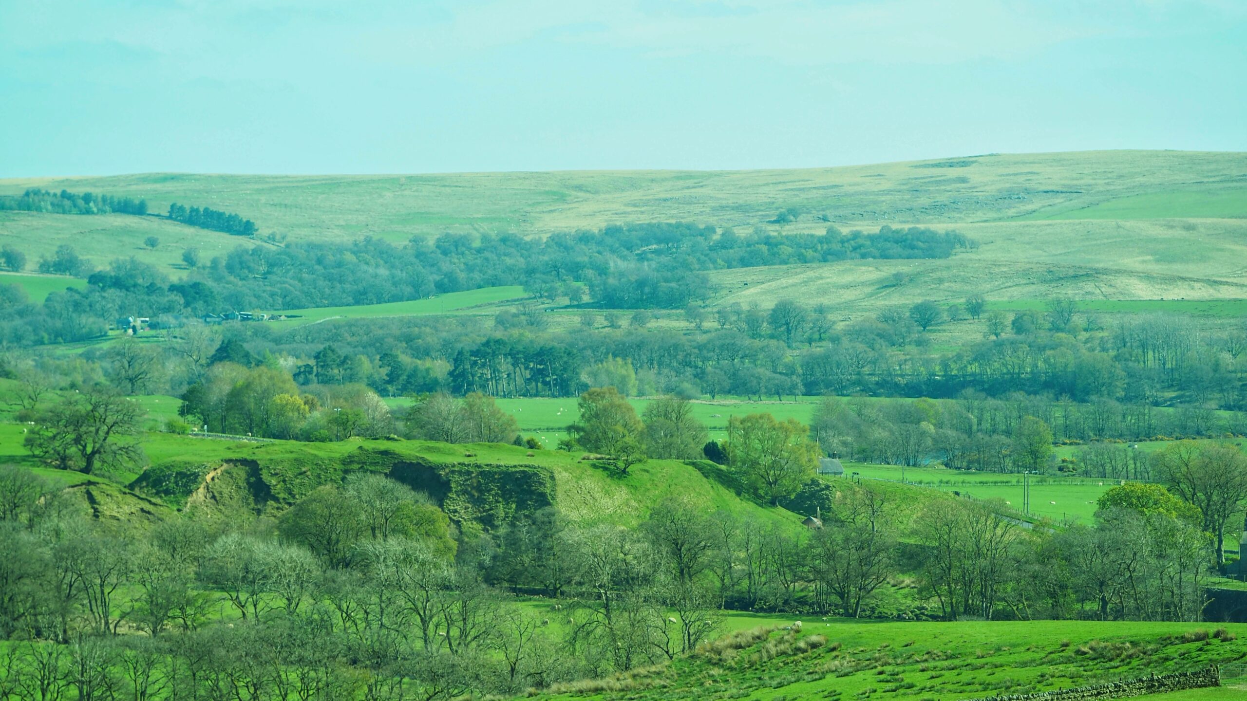 A wide landscape photograph of the North Tyne valley in Northumberland, showing vivid green fields and bare-branched trees in early spring. In the middle ground, a flat-topped grassy mound with steep, eroded sides rises prominently above the surrounding fields — the remains of Tarset Castle. Beyond it, belts of woodland and open moorland roll away to a pale blue-green sky on the horizon.​​​​​​​​​​​​​​​​